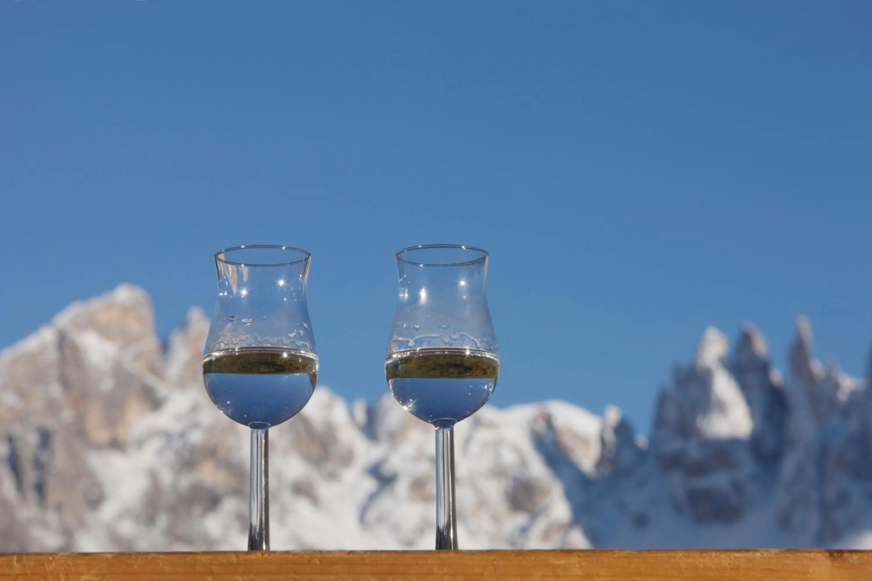 Alcoholic drinks in Rifugio Alpino Pralongià