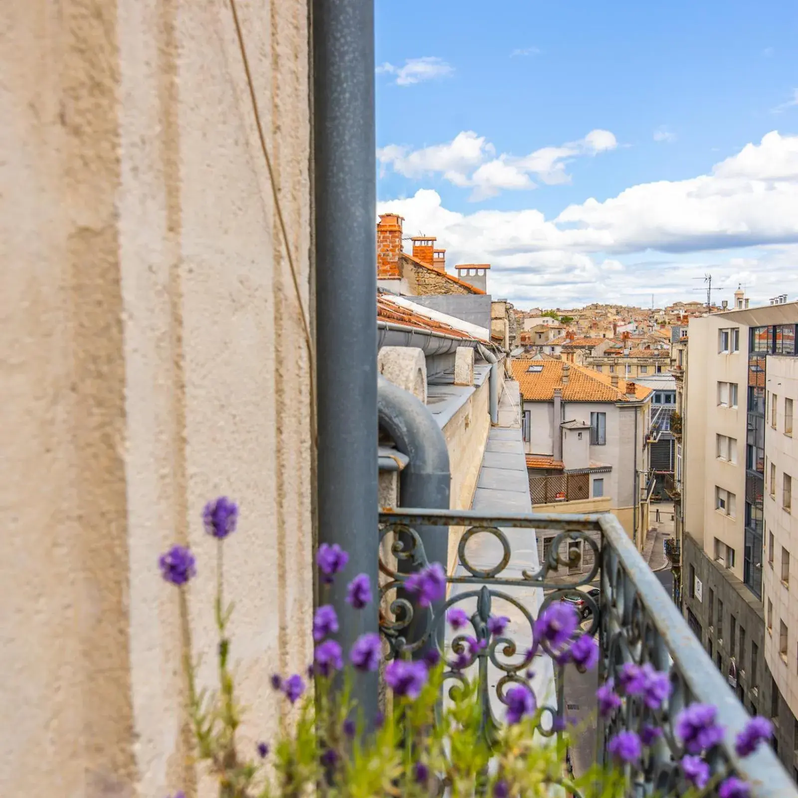 View (from property/room) in Casa Roma Montpellier Bed&Breakfast chambres d hôte View (from property/room) in Casa Roma Montpellier Bed&Breakfast chambres d hôte