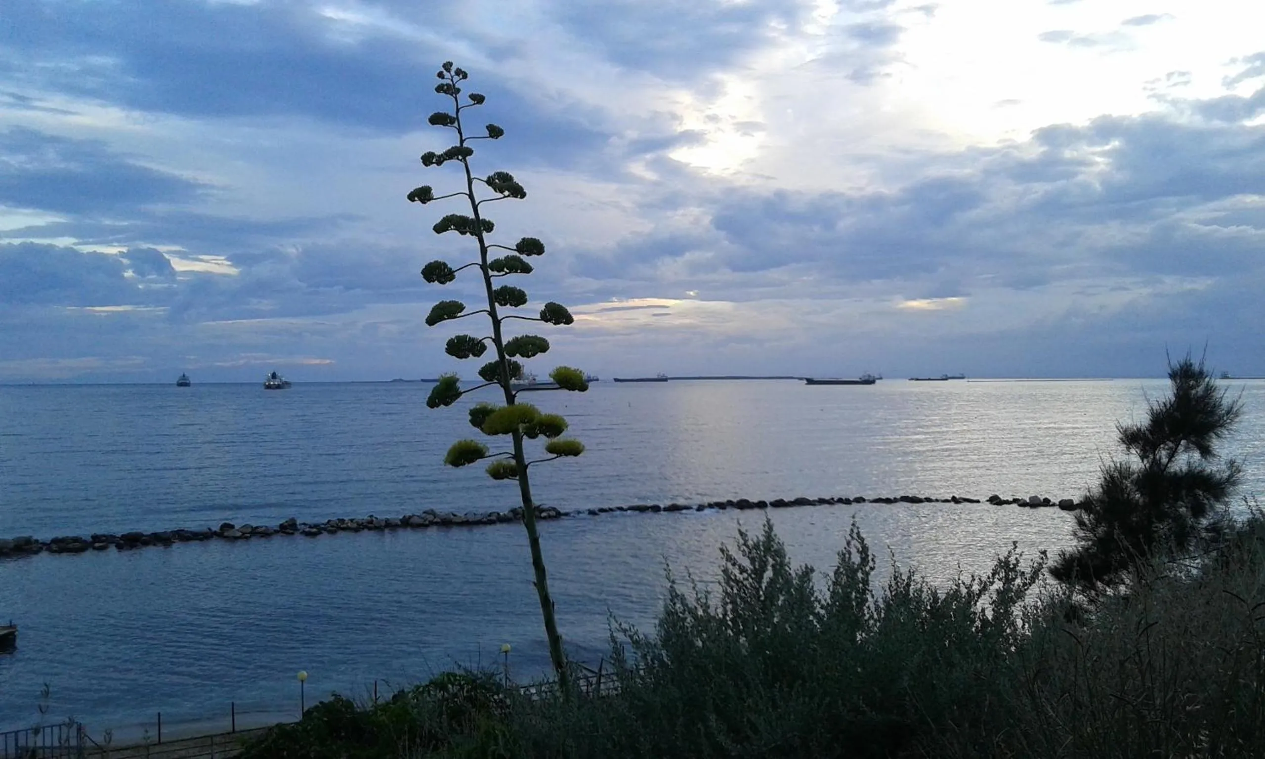 Location in Al Chiaro Di Luna