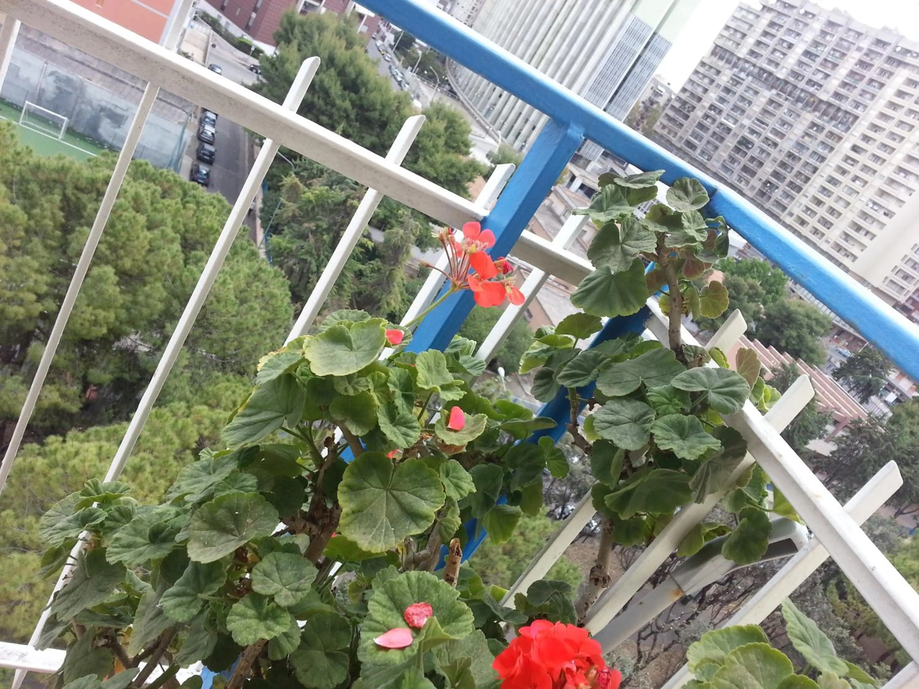 Property building in Al Chiaro Di Luna