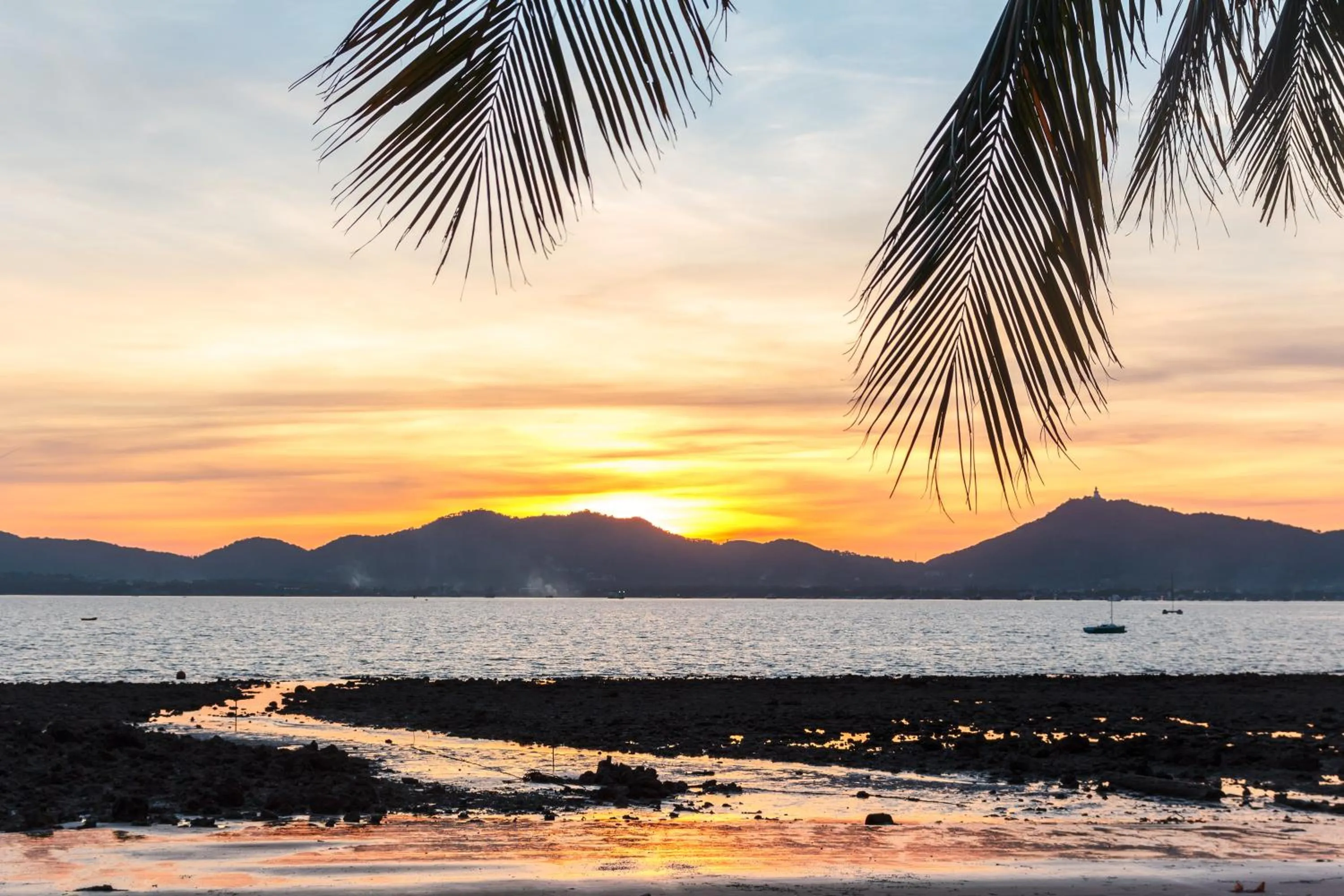 Natural landscape in Davina Beach Homes