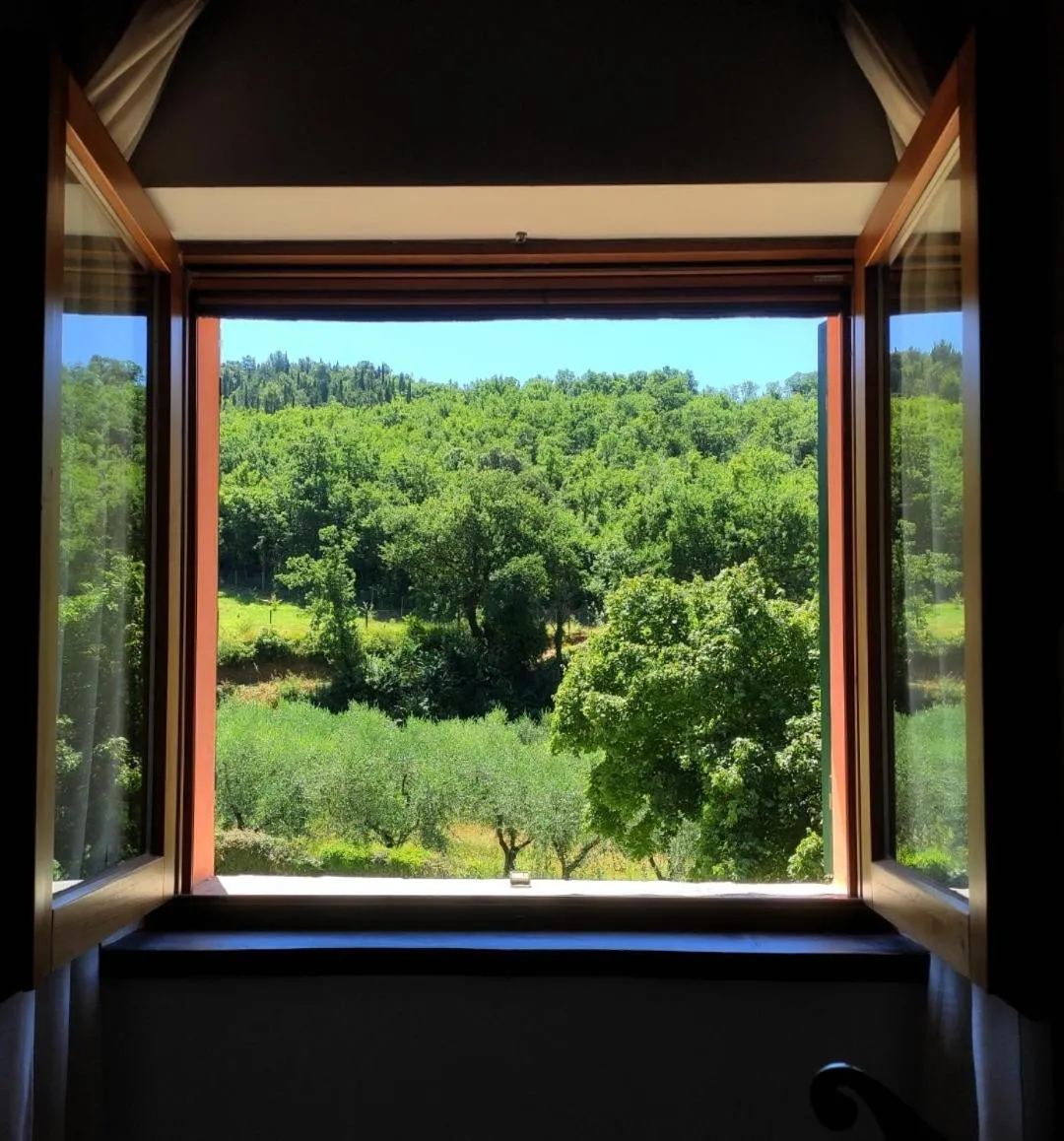 Natural landscape in B&B I Martelli