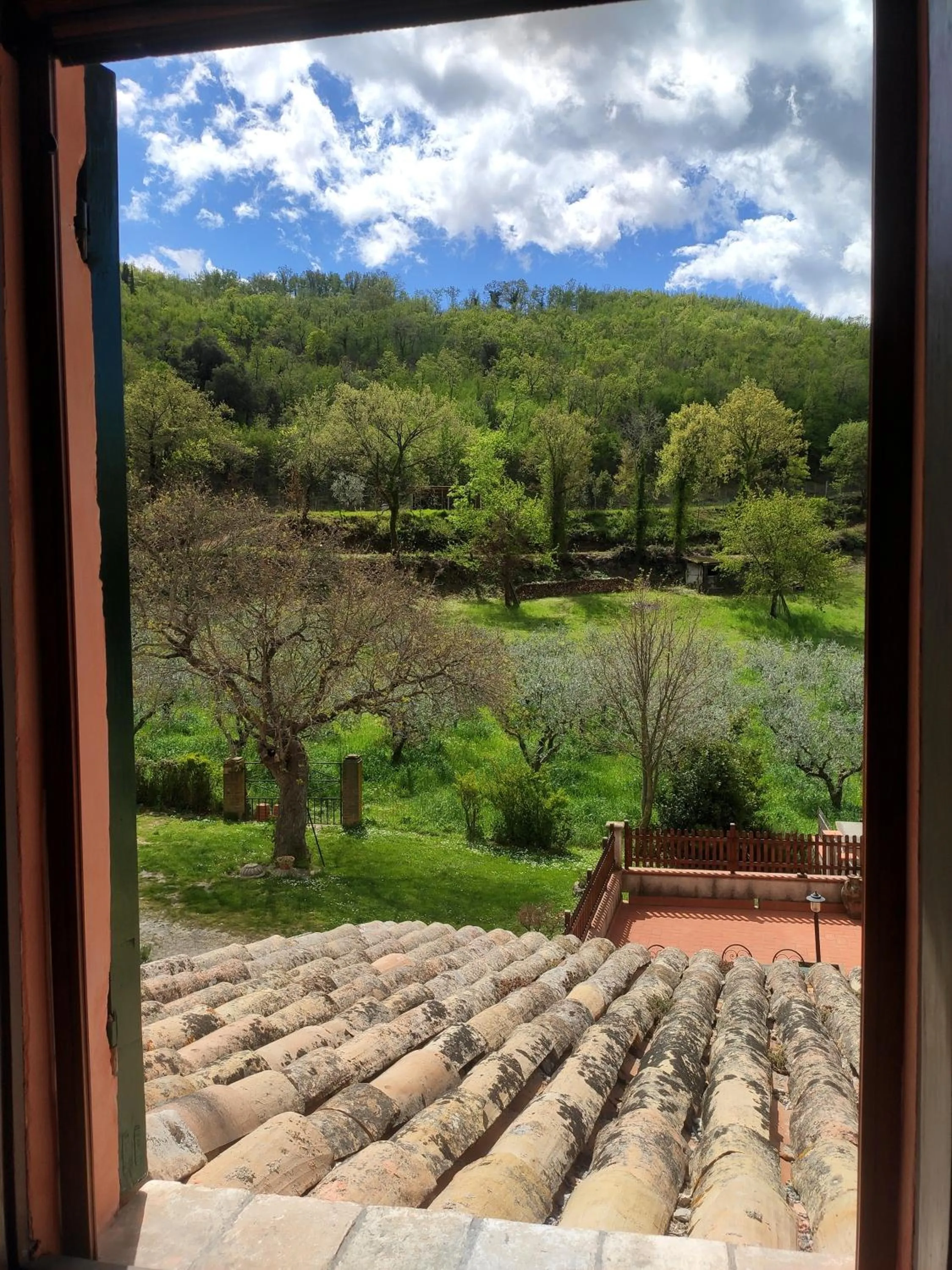 Natural landscape in B&B I Martelli