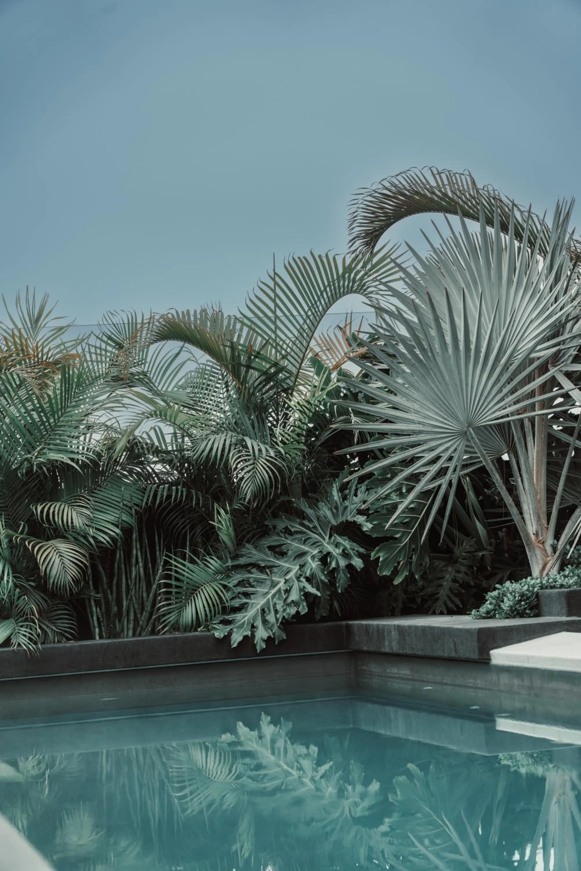 Swimming pool in Pullman Lima Miraflores