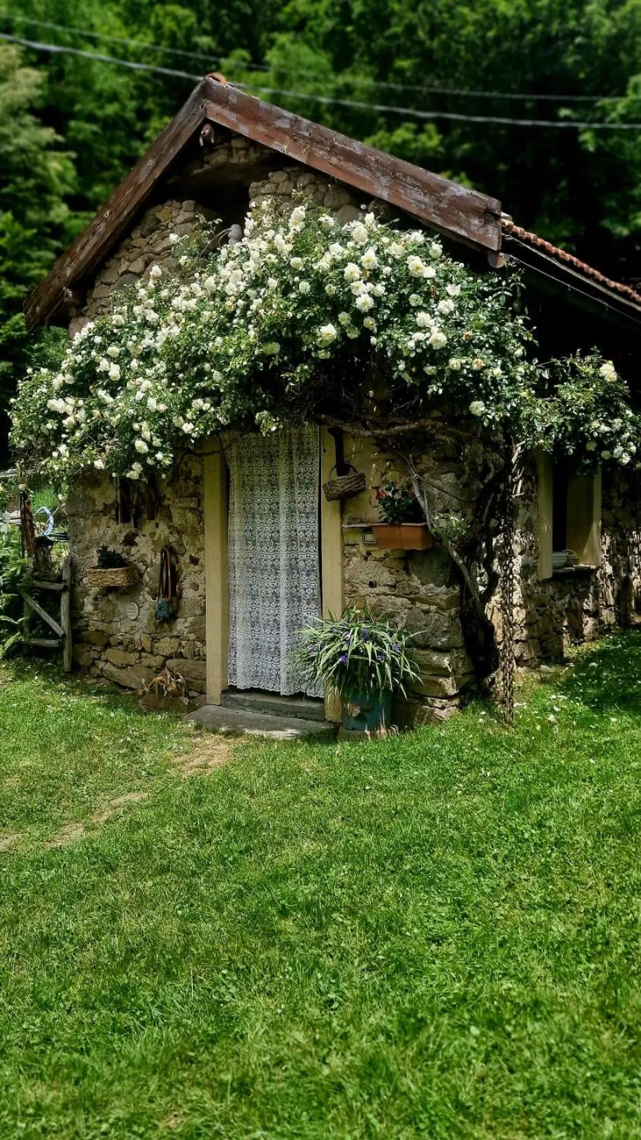 Garden view in Silenzio e Buio