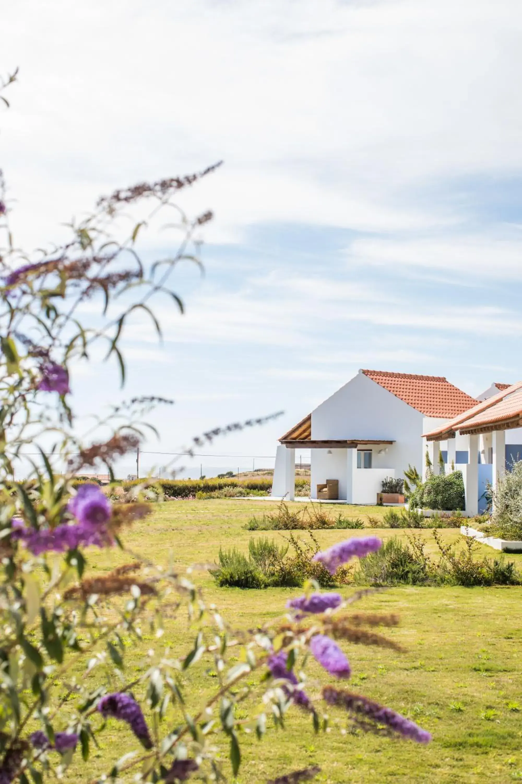 Property building in Monte da Bemposta Property building in Monte da Bemposta