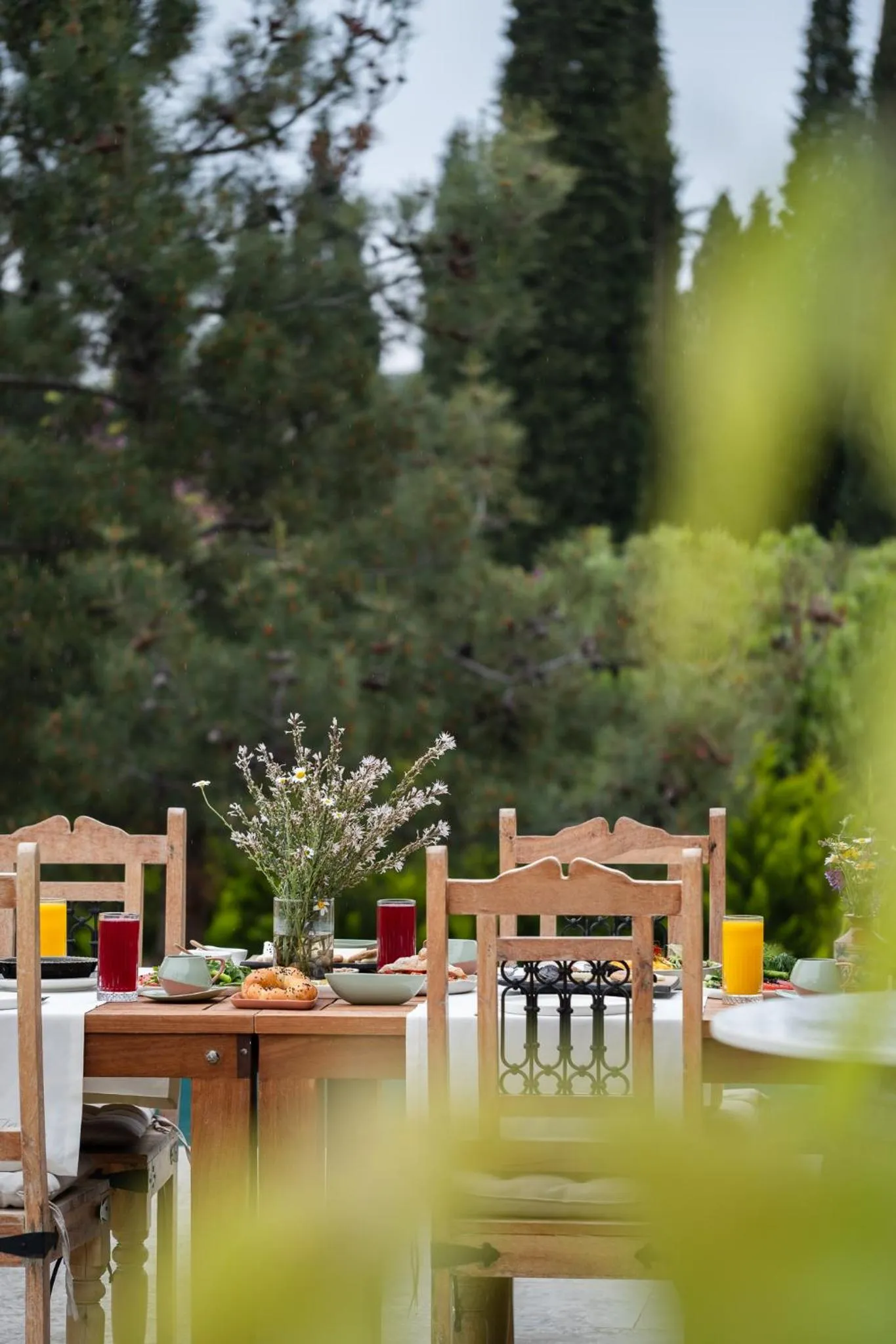 Day in Nadas Kazdağları