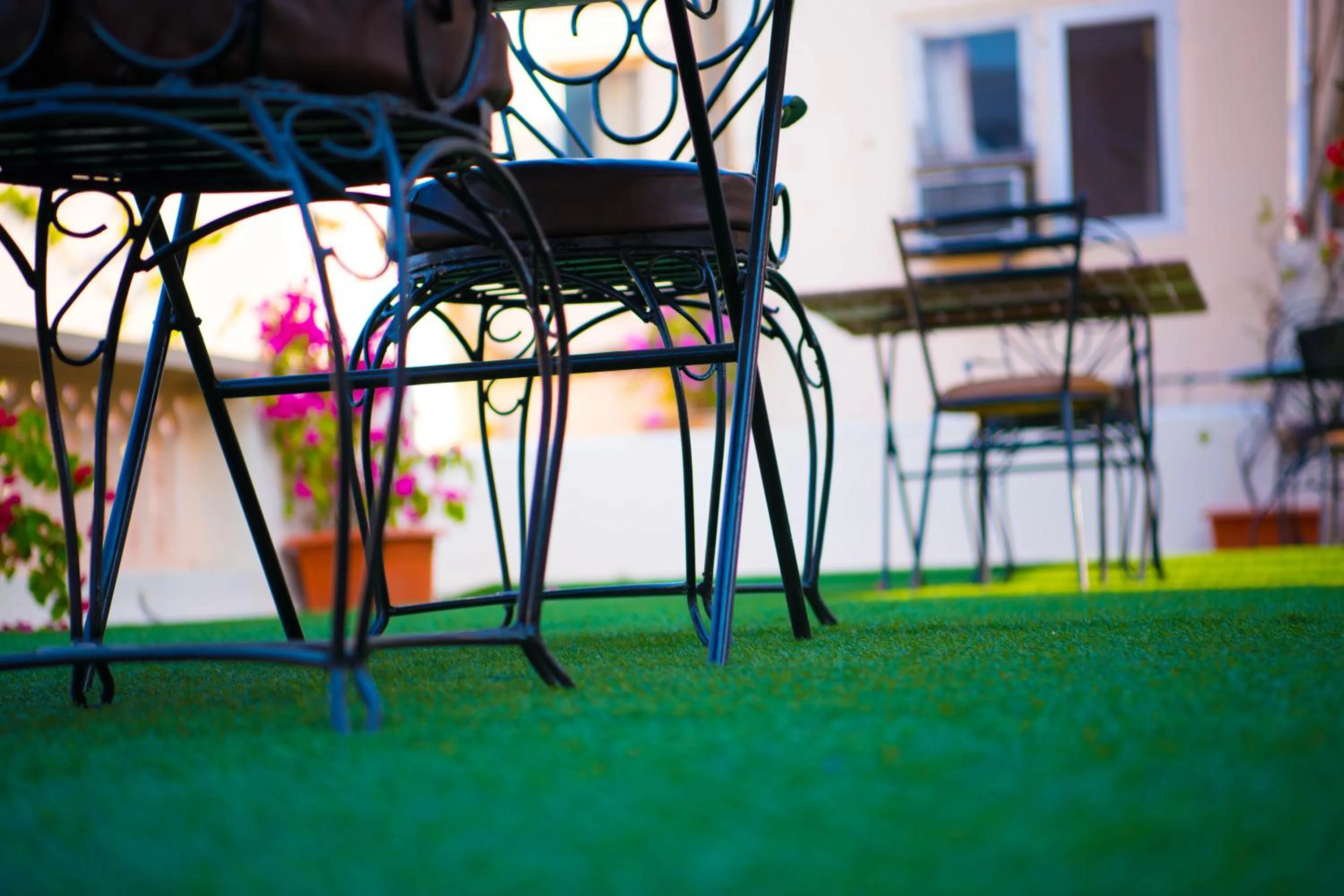 Garden in Hotel Arya Niwas