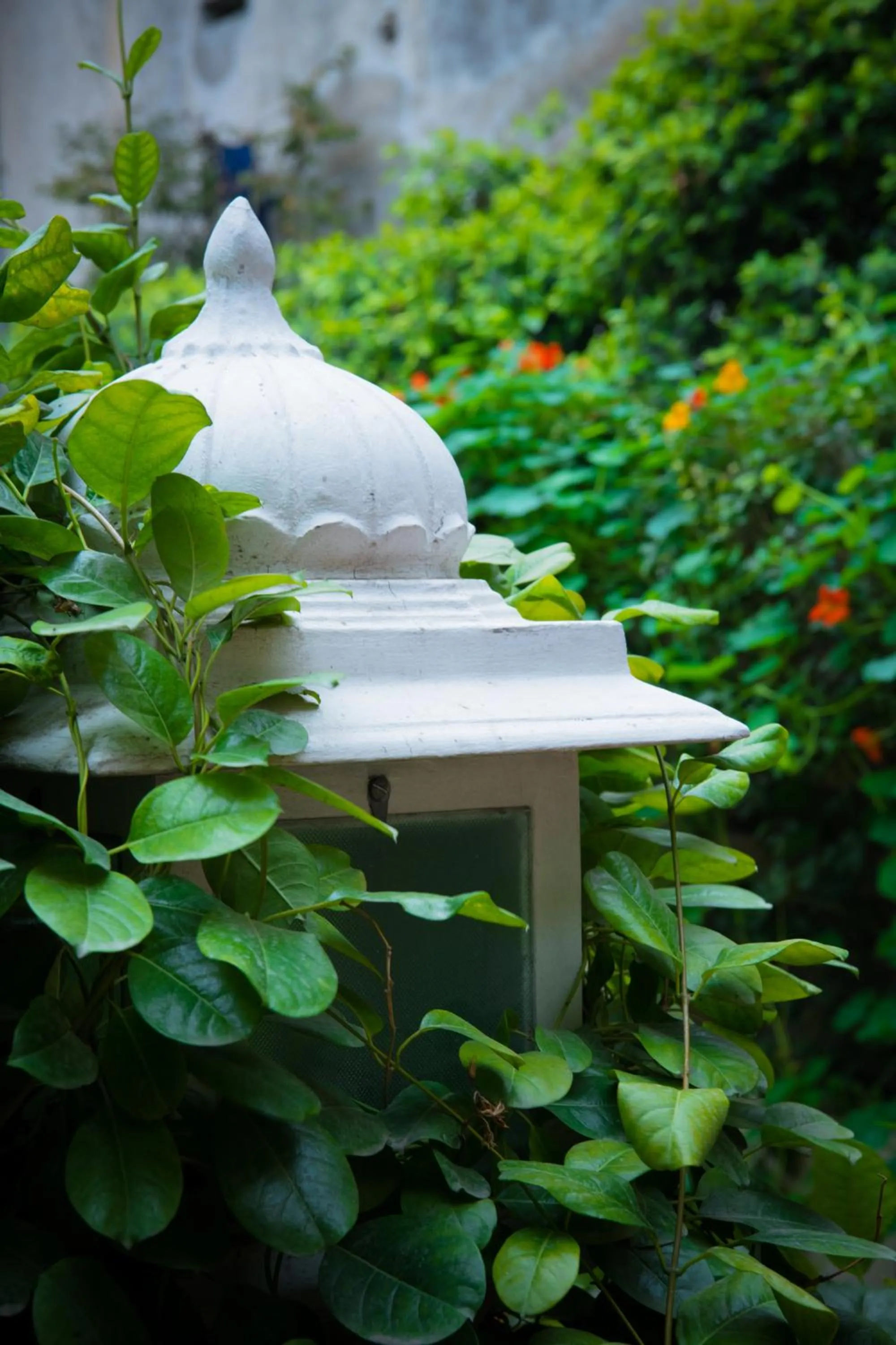 Garden in Hotel Arya Niwas