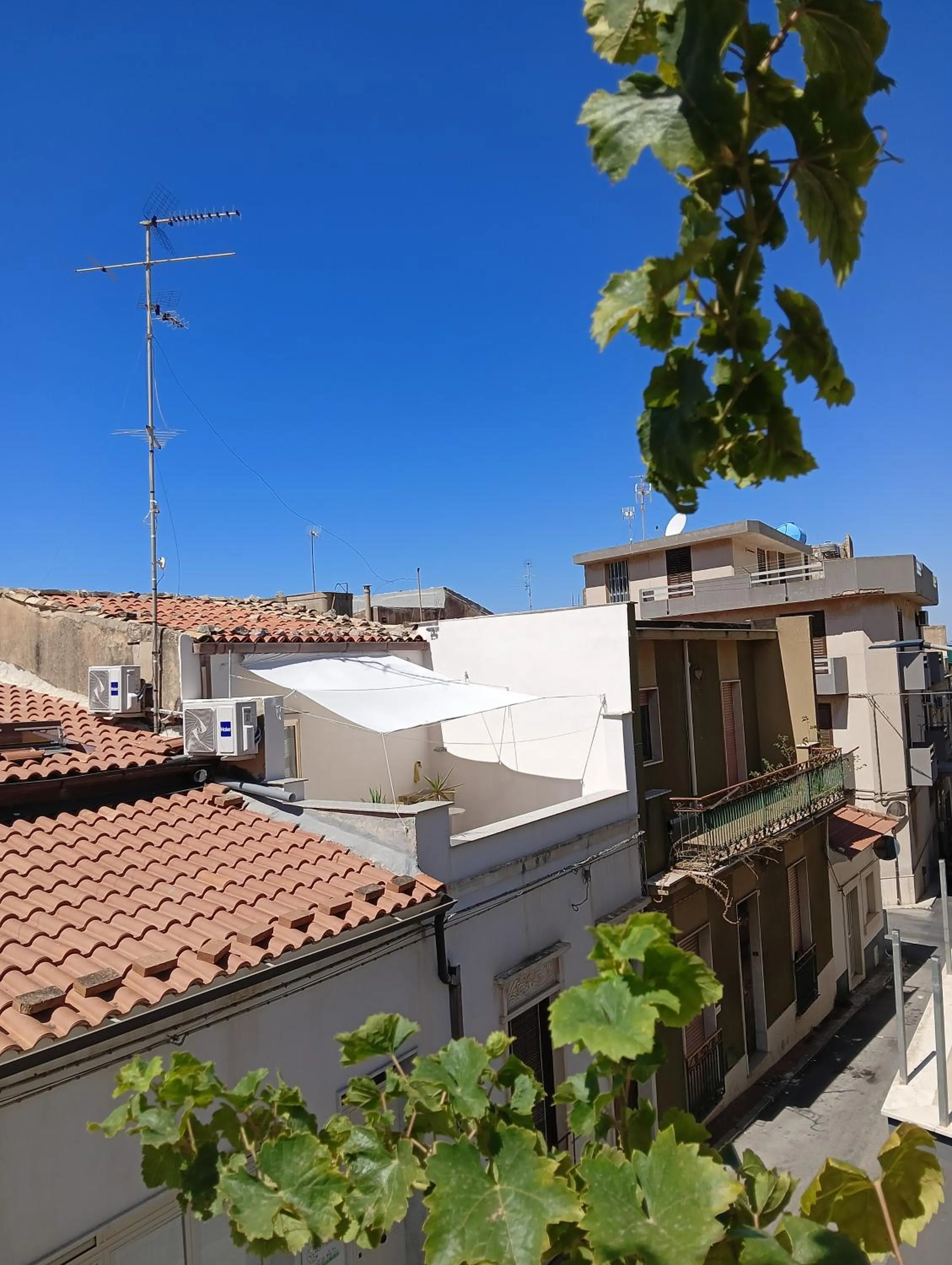 Piccola Azzurra Branch