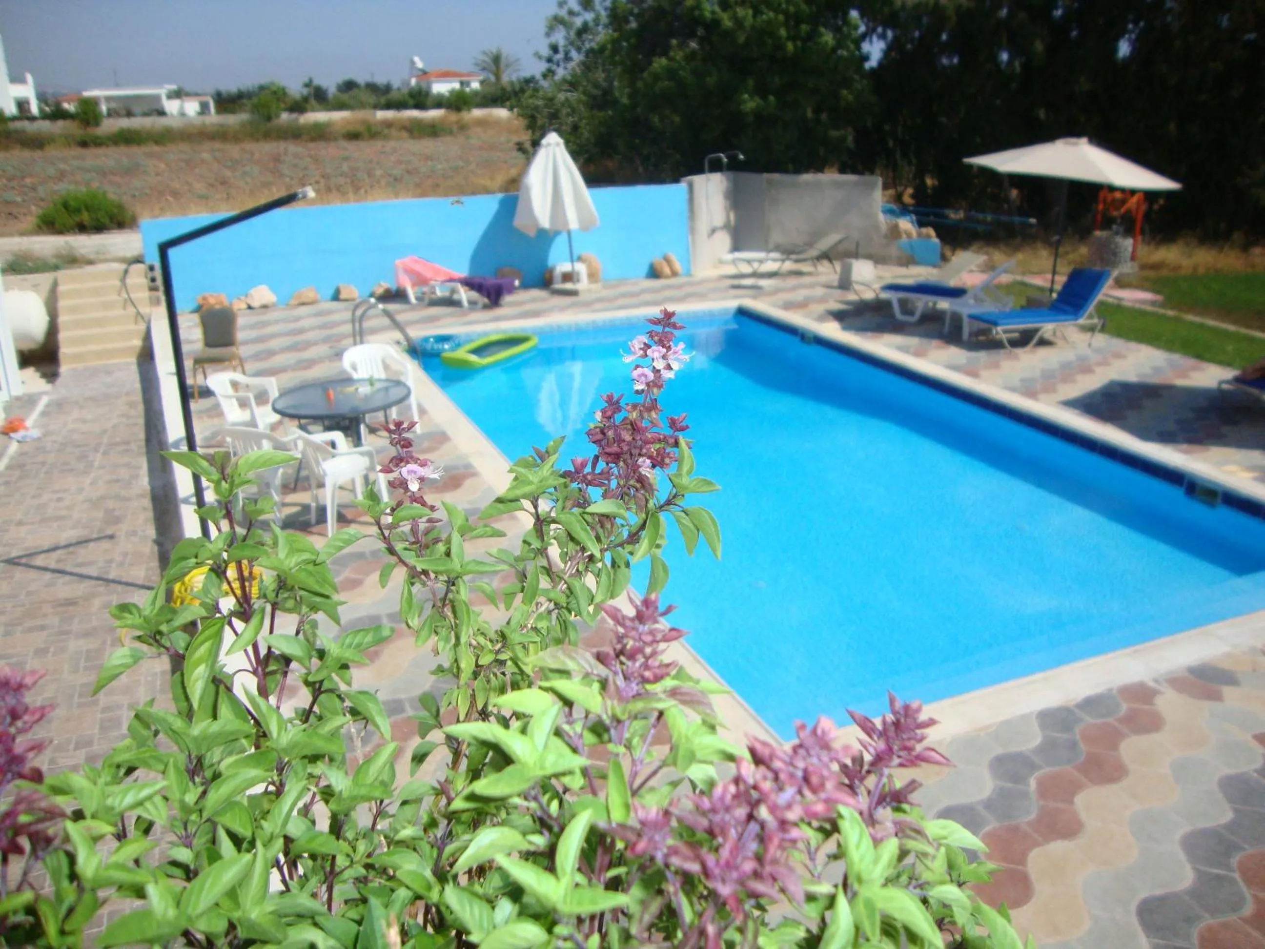 Bella Rosa hotel Cyprus