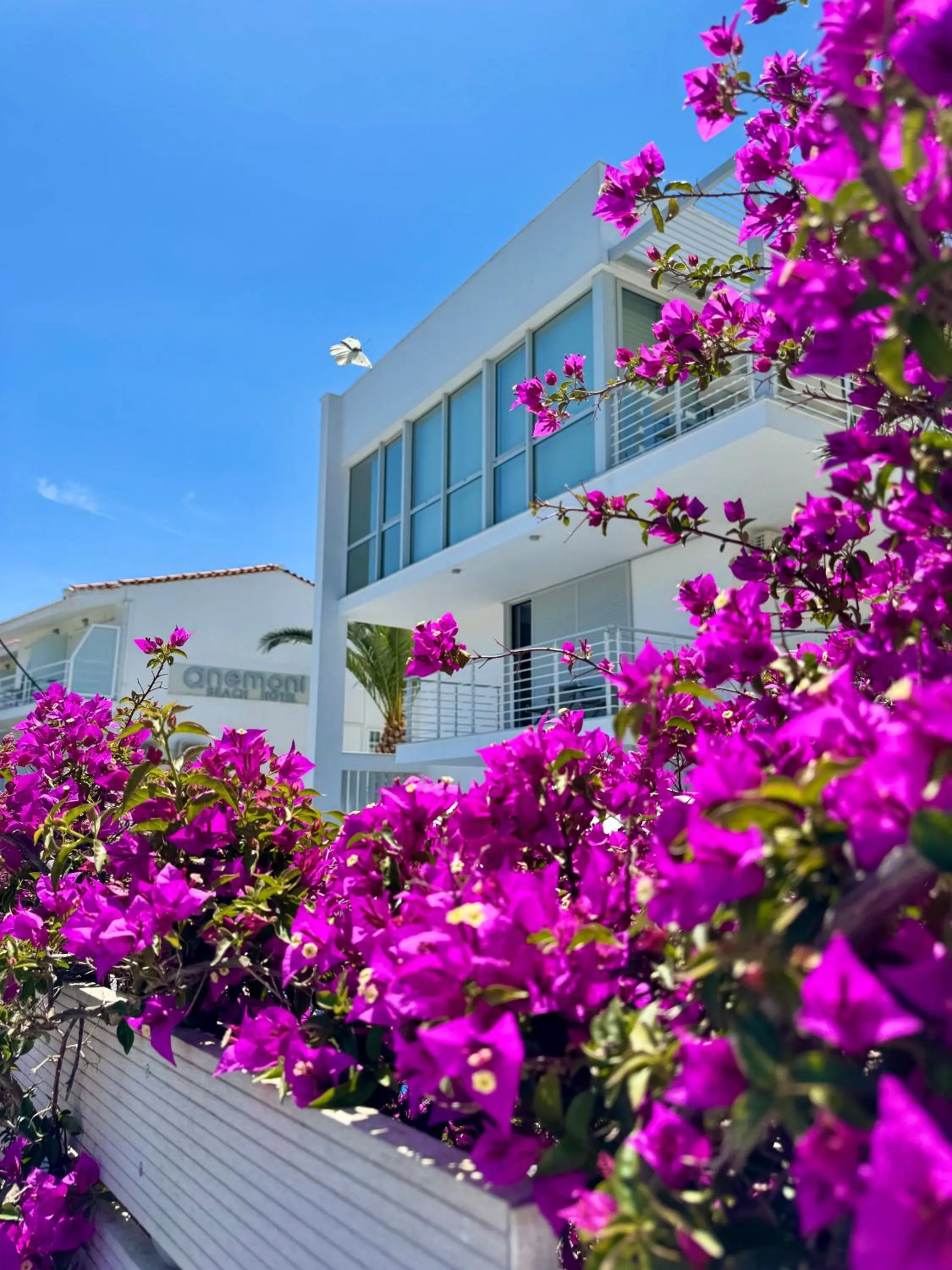 Property building in Anemoni Beach Hotel