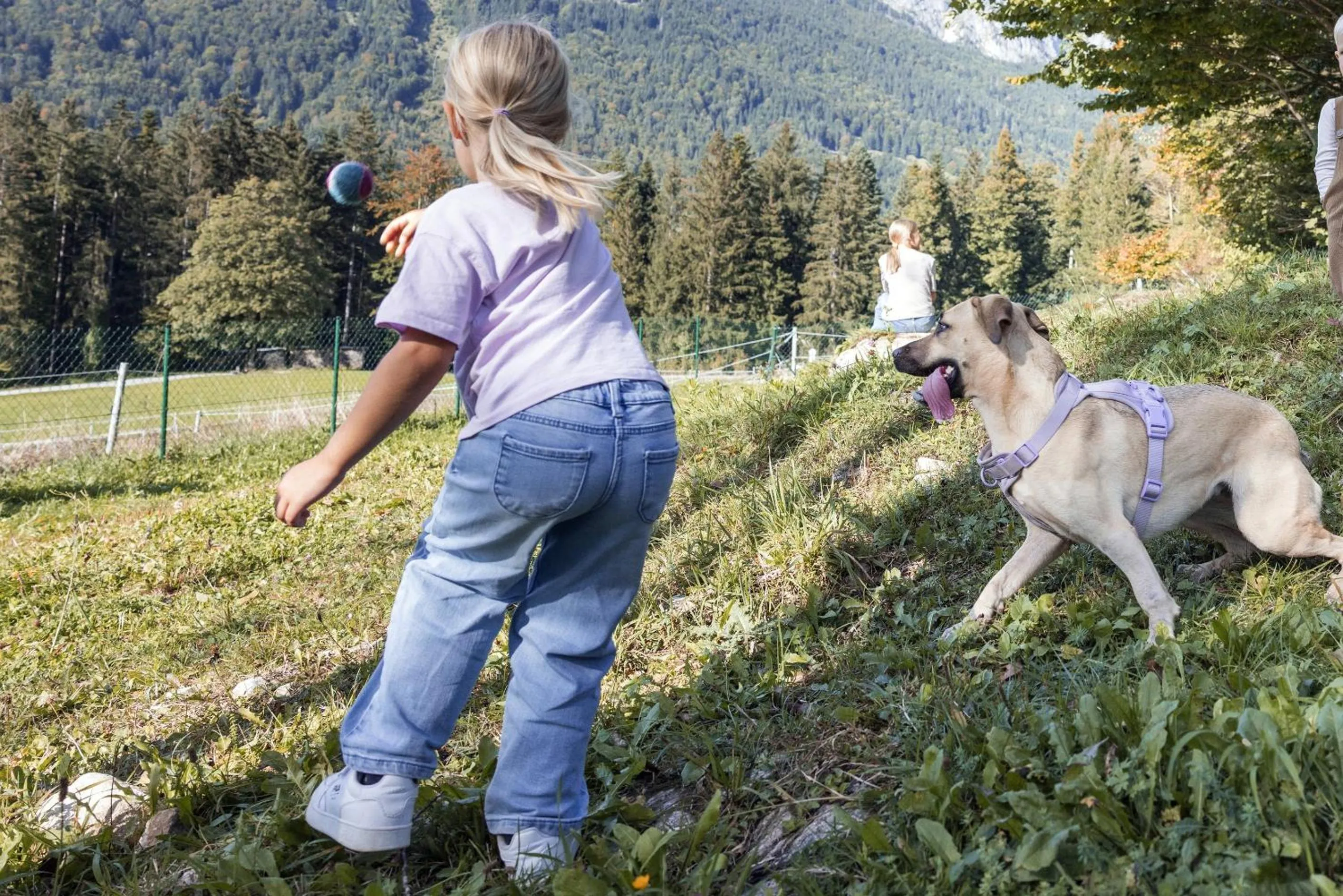 Animals in Narzissendorf Zloam - Ferien & Abenteuer am Grundlsee