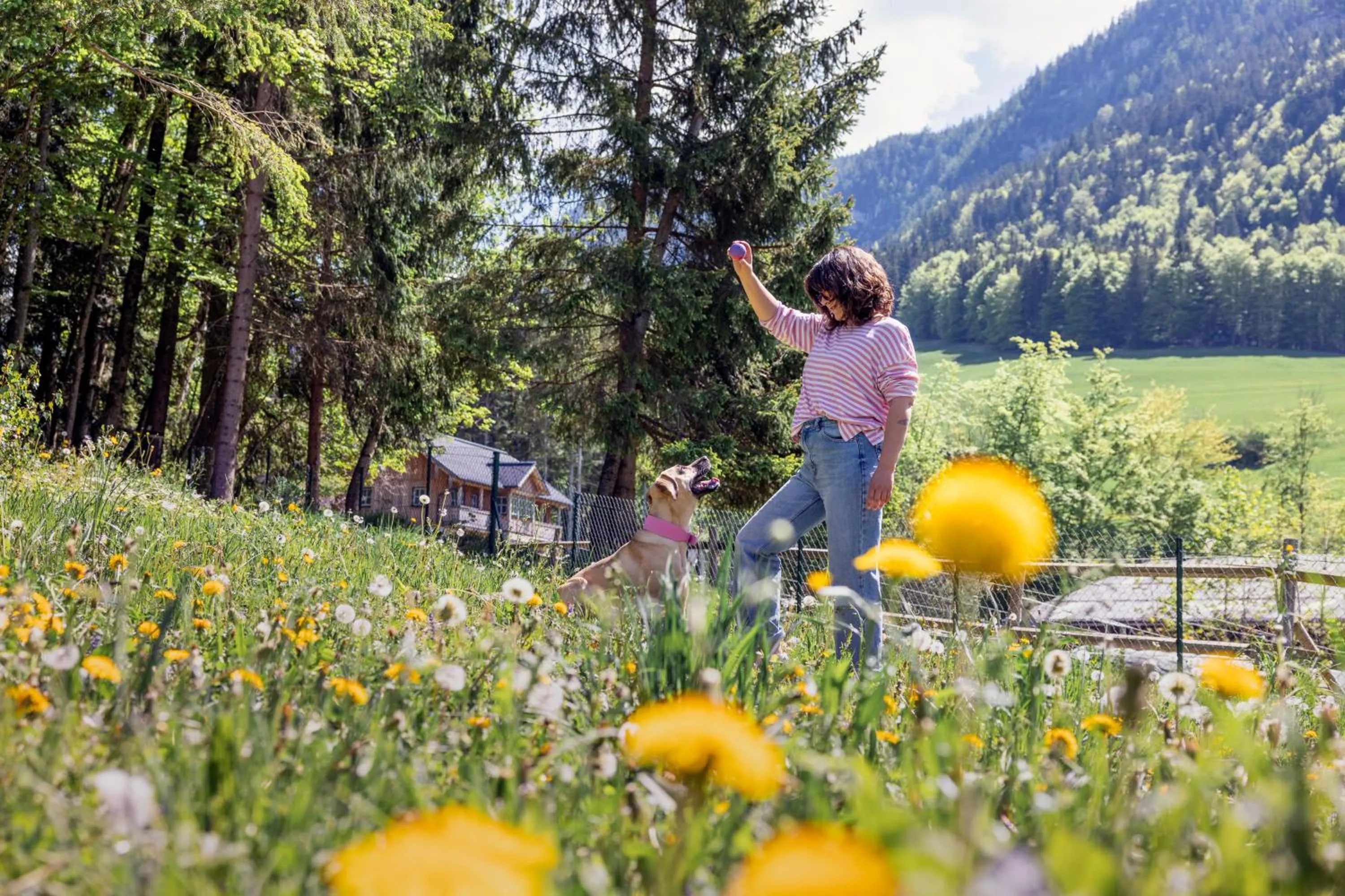 Natural landscape in Narzissendorf Zloam - Ferien & Abenteuer am Grundlsee