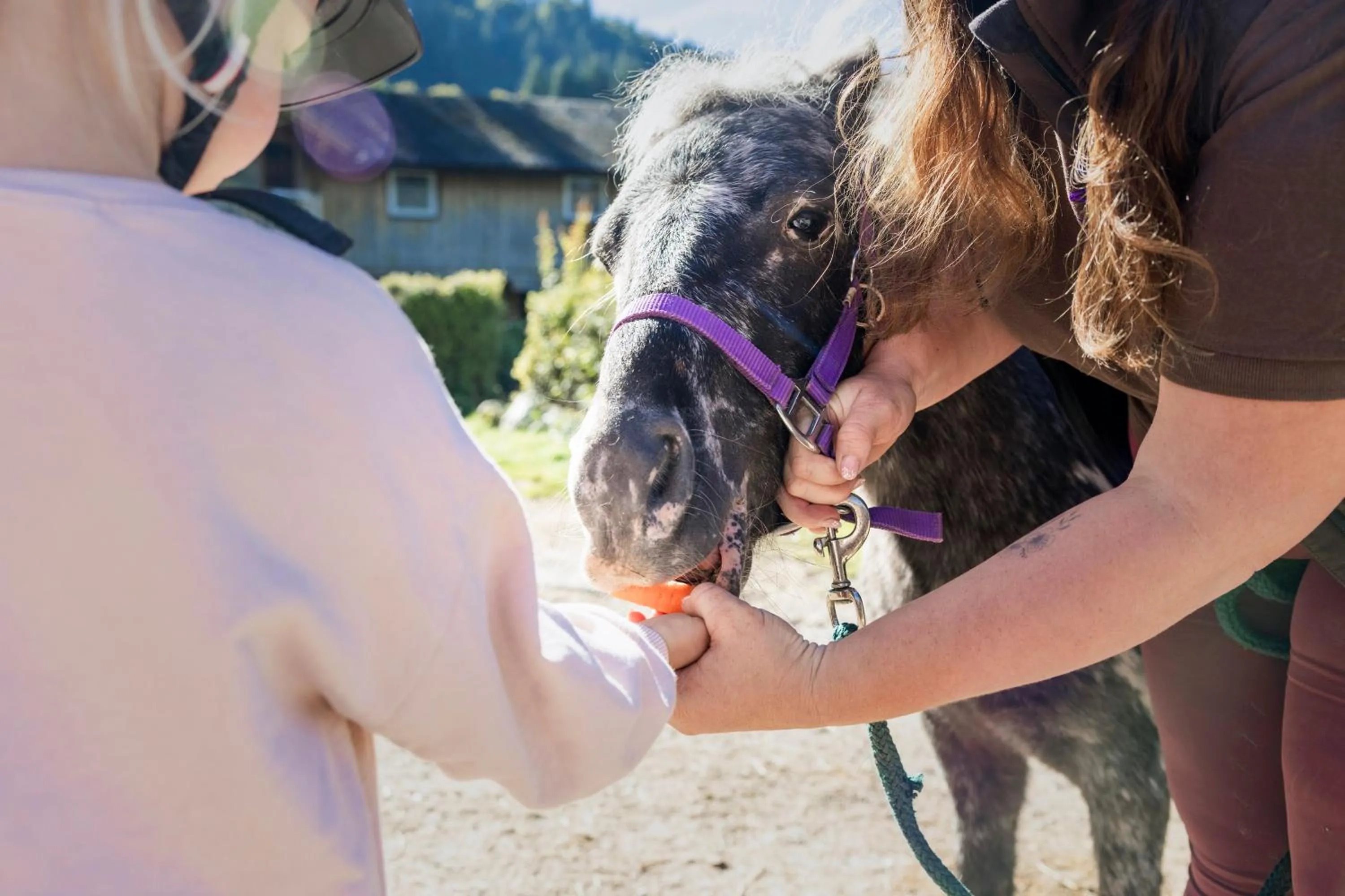 Activities in Narzissendorf Zloam - Ferien & Abenteuer am Grundlsee