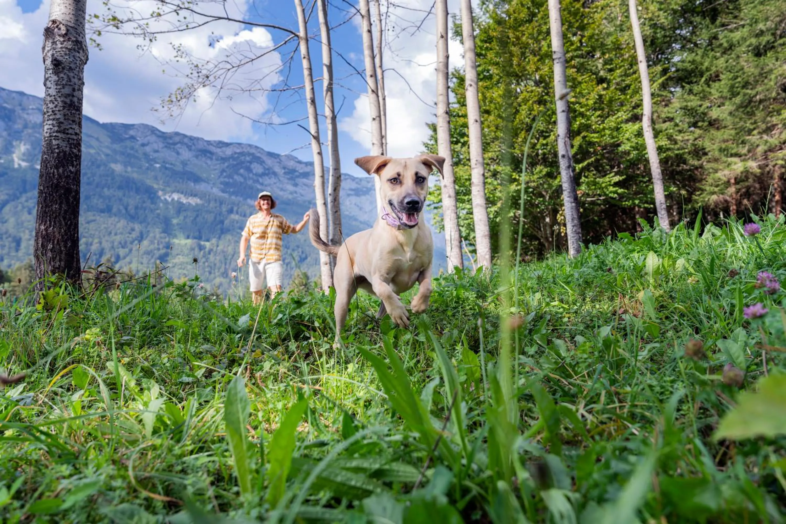 Pets in Narzissendorf Zloam - Ferien & Abenteuer am Grundlsee
