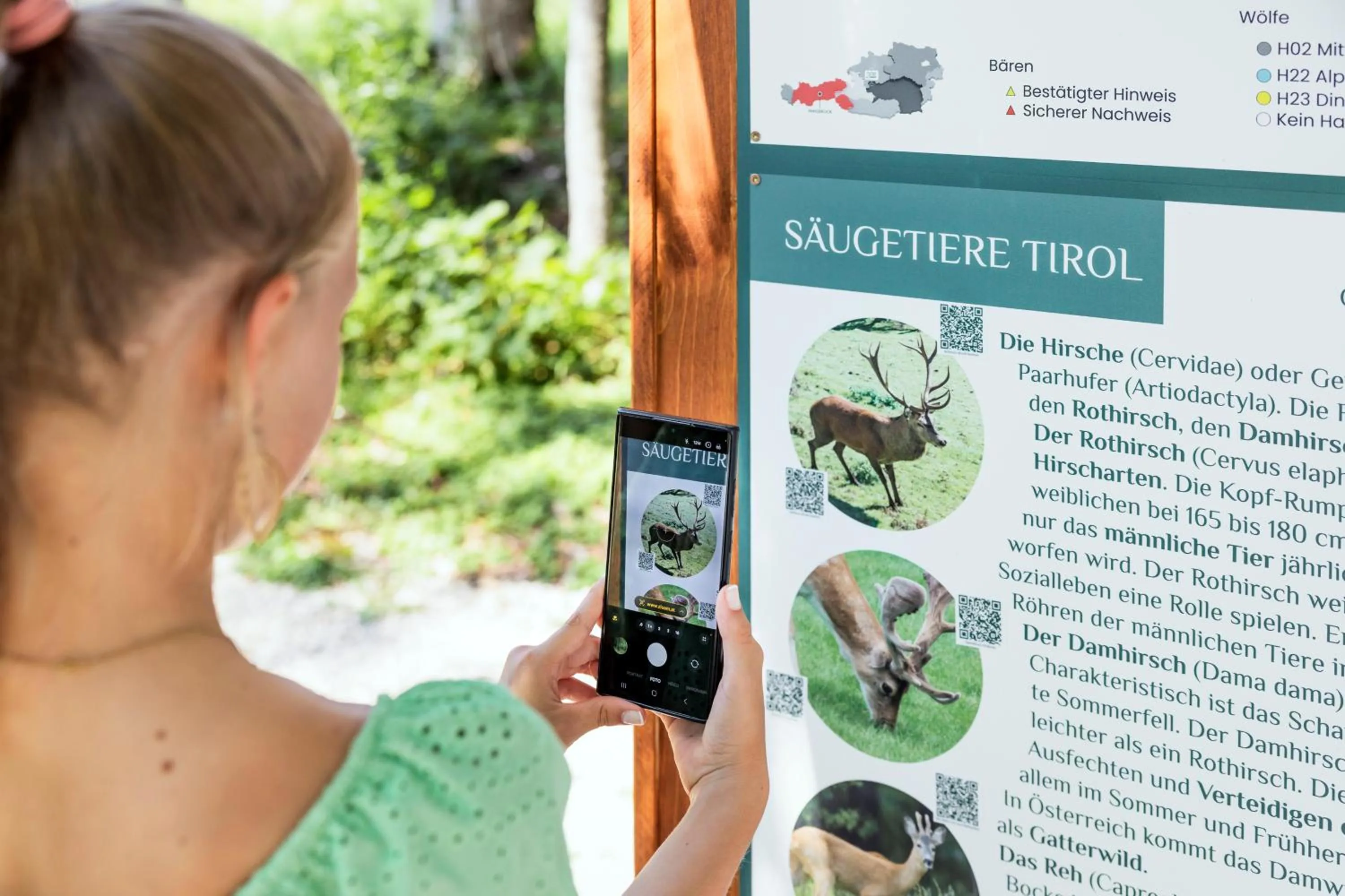 Activities in Narzissendorf Zloam - Ferien & Abenteuer am Grundlsee