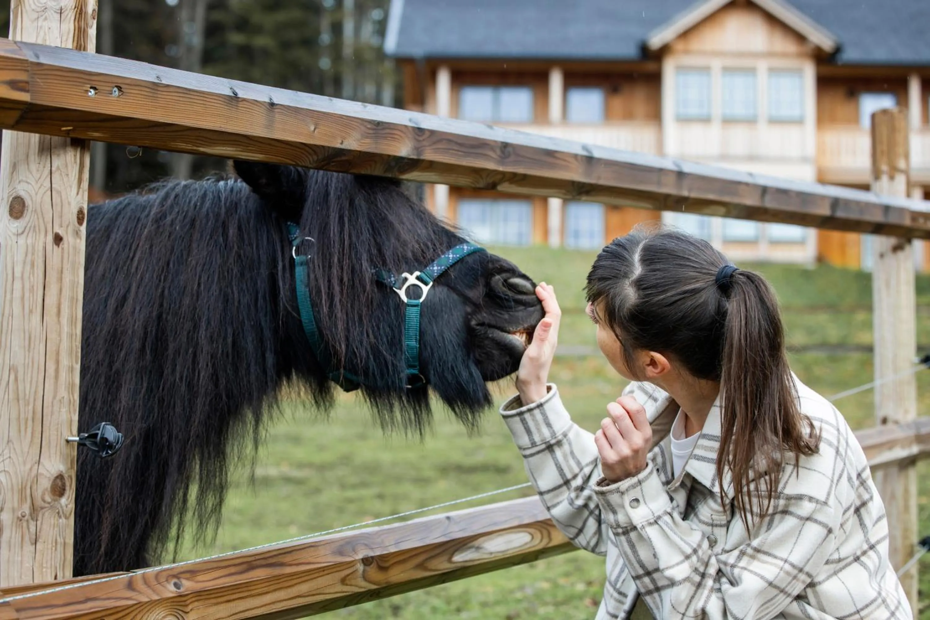 Activities in Narzissendorf Zloam - Ferien & Abenteuer am Grundlsee