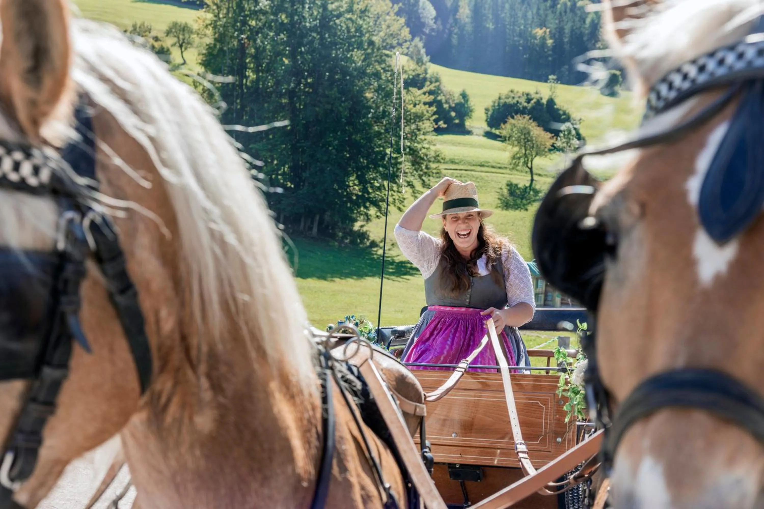 Natural landscape in Narzissendorf Zloam - Ferien & Abenteuer am Grundlsee