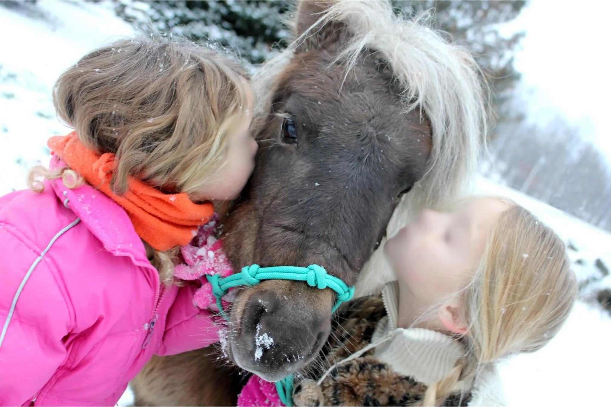 Activities in Narzissendorf Zloam - Ferien & Abenteuer am Grundlsee