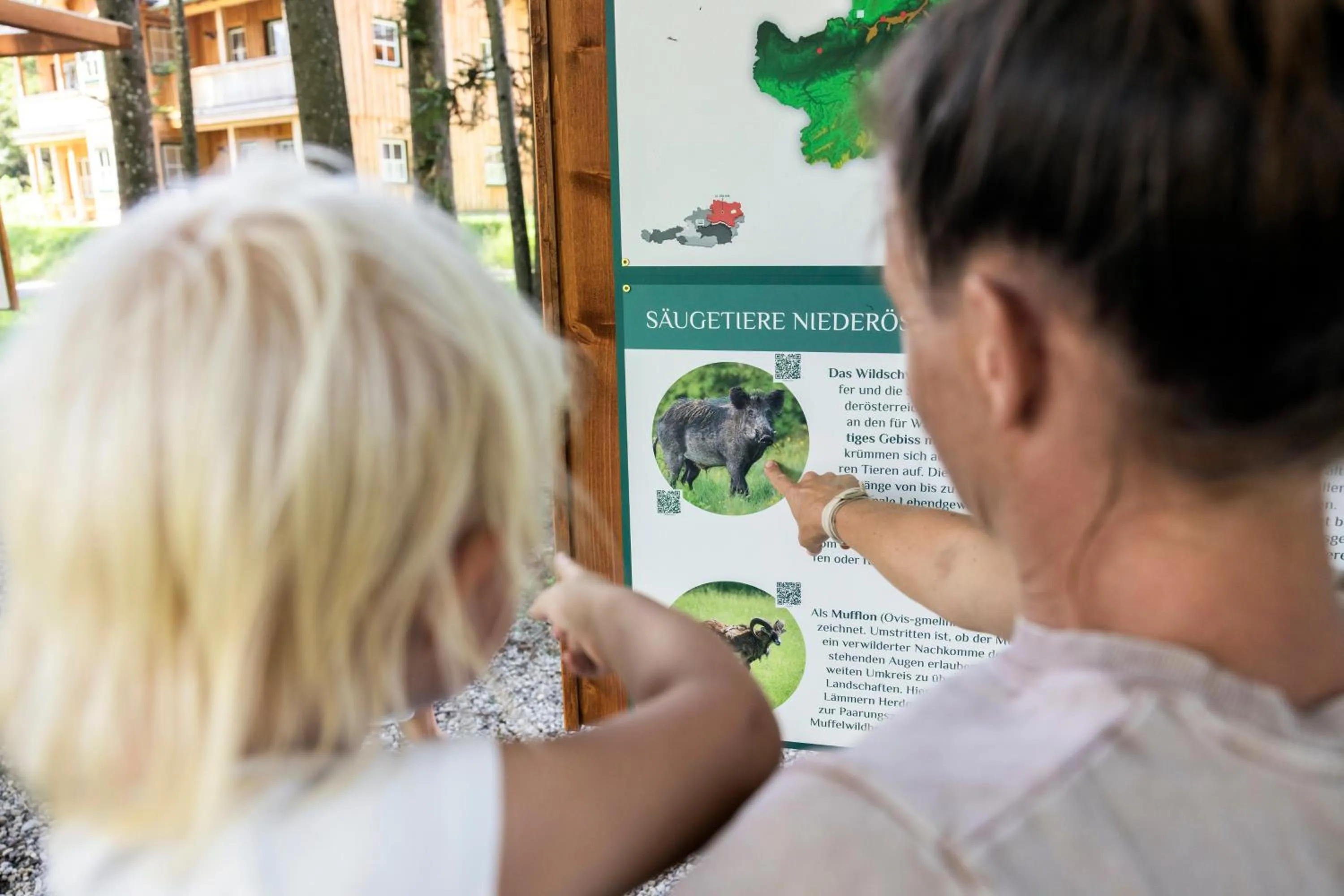 Activities in Narzissendorf Zloam - Ferien & Abenteuer am Grundlsee