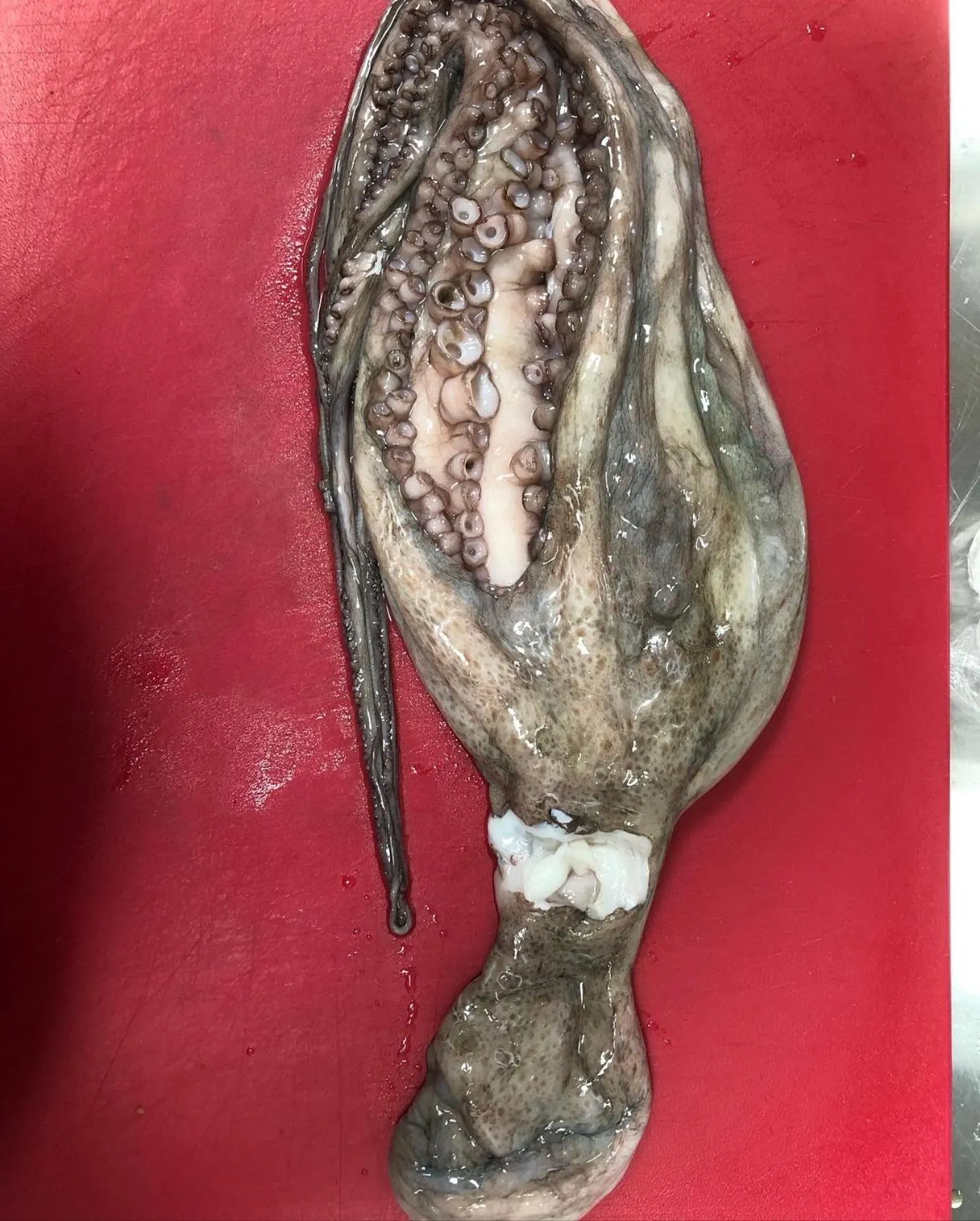 Restaurant/places to eat in mammaCristina