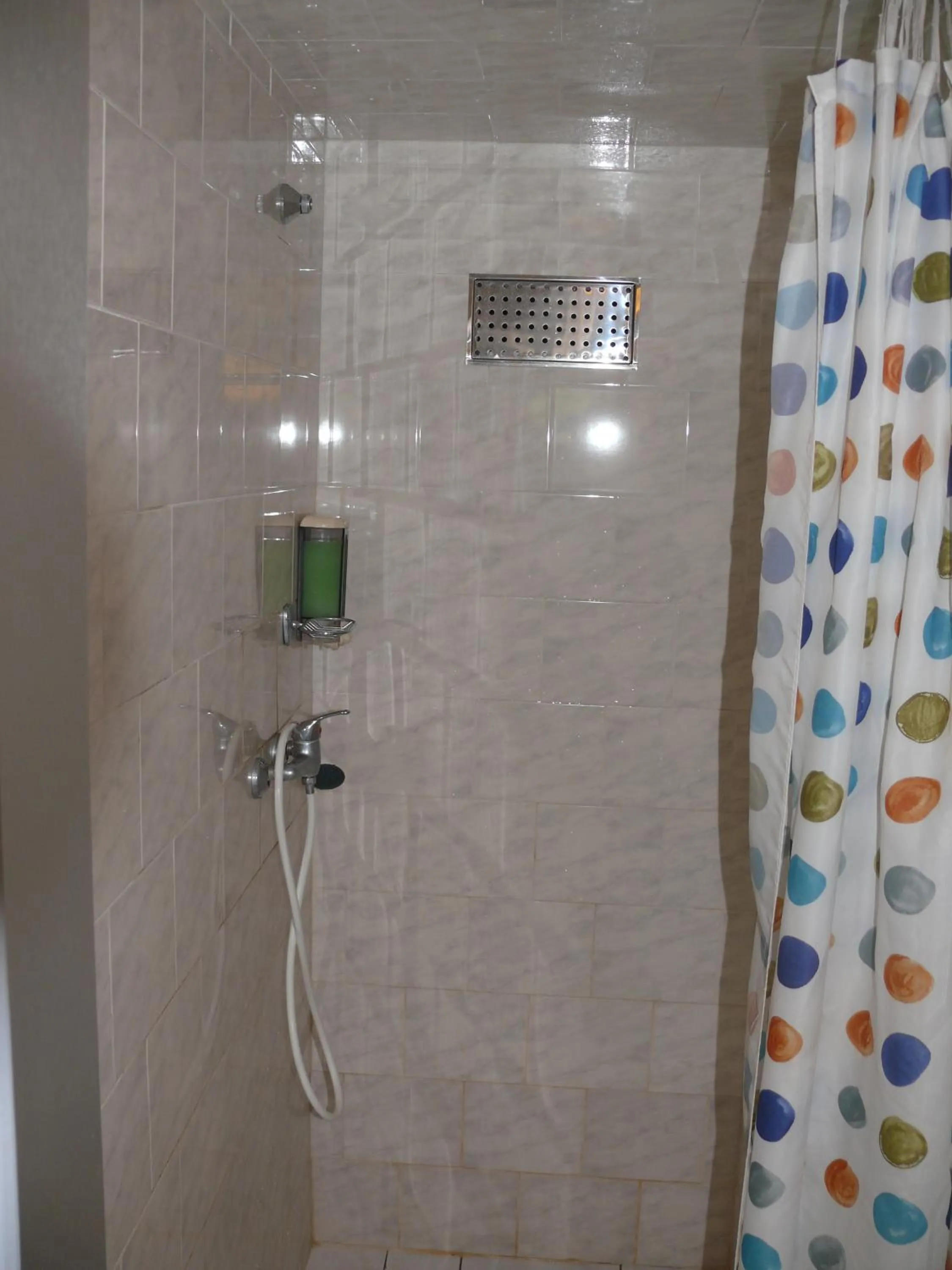 Shower in Penzion Dana Troja