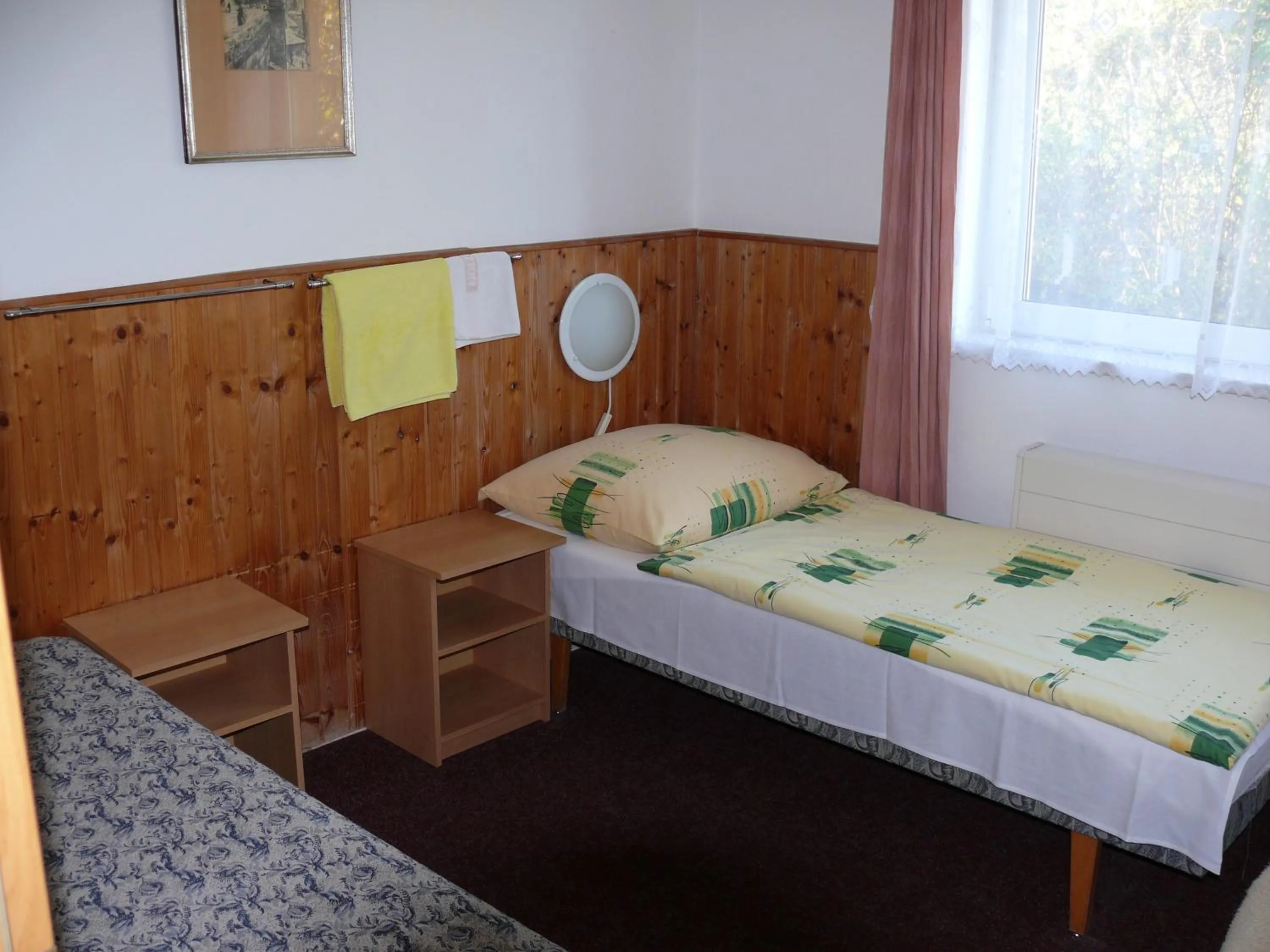 Bed in Penzion Dana Troja