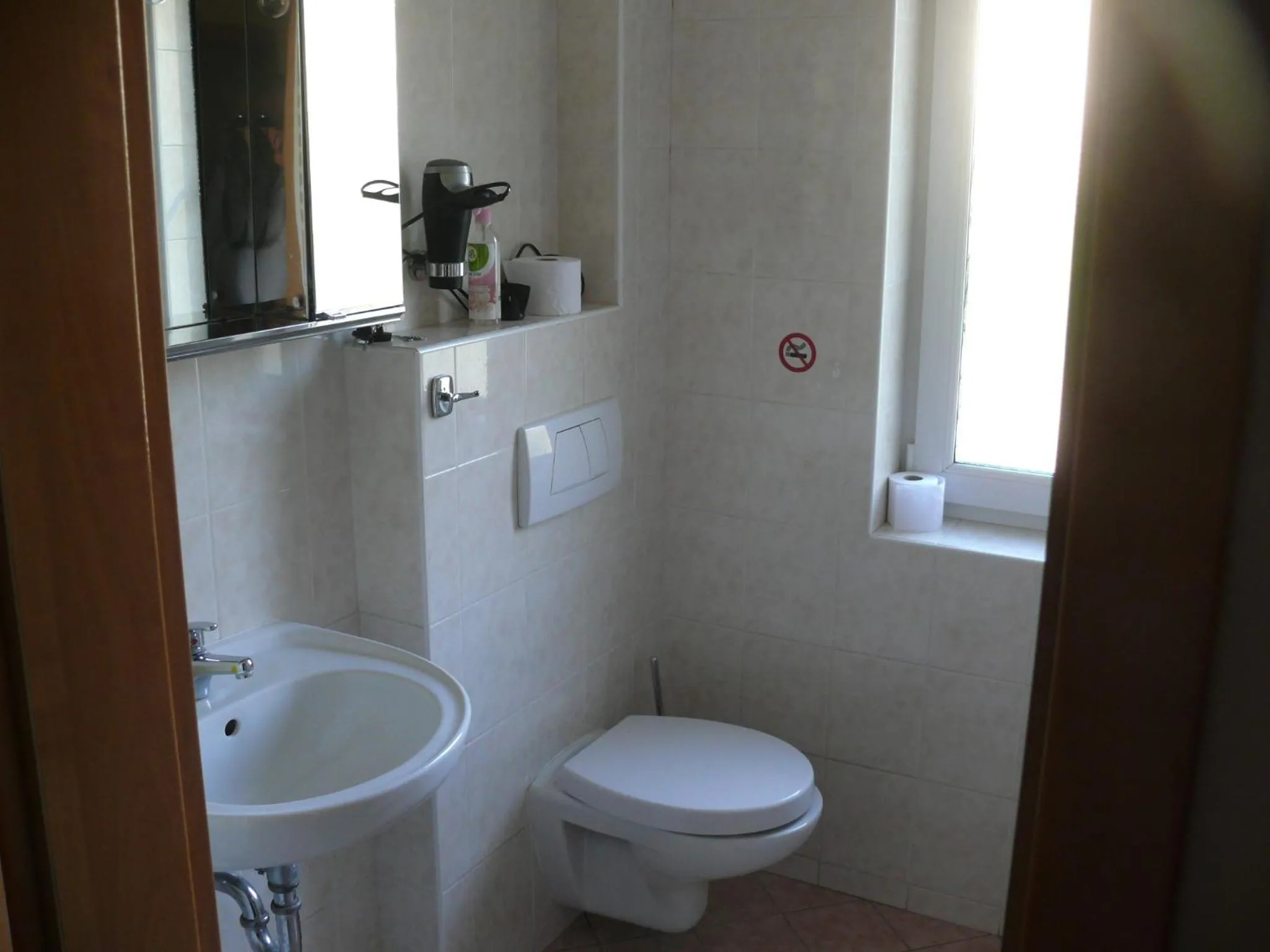 Bathroom in Penzion Dana Troja