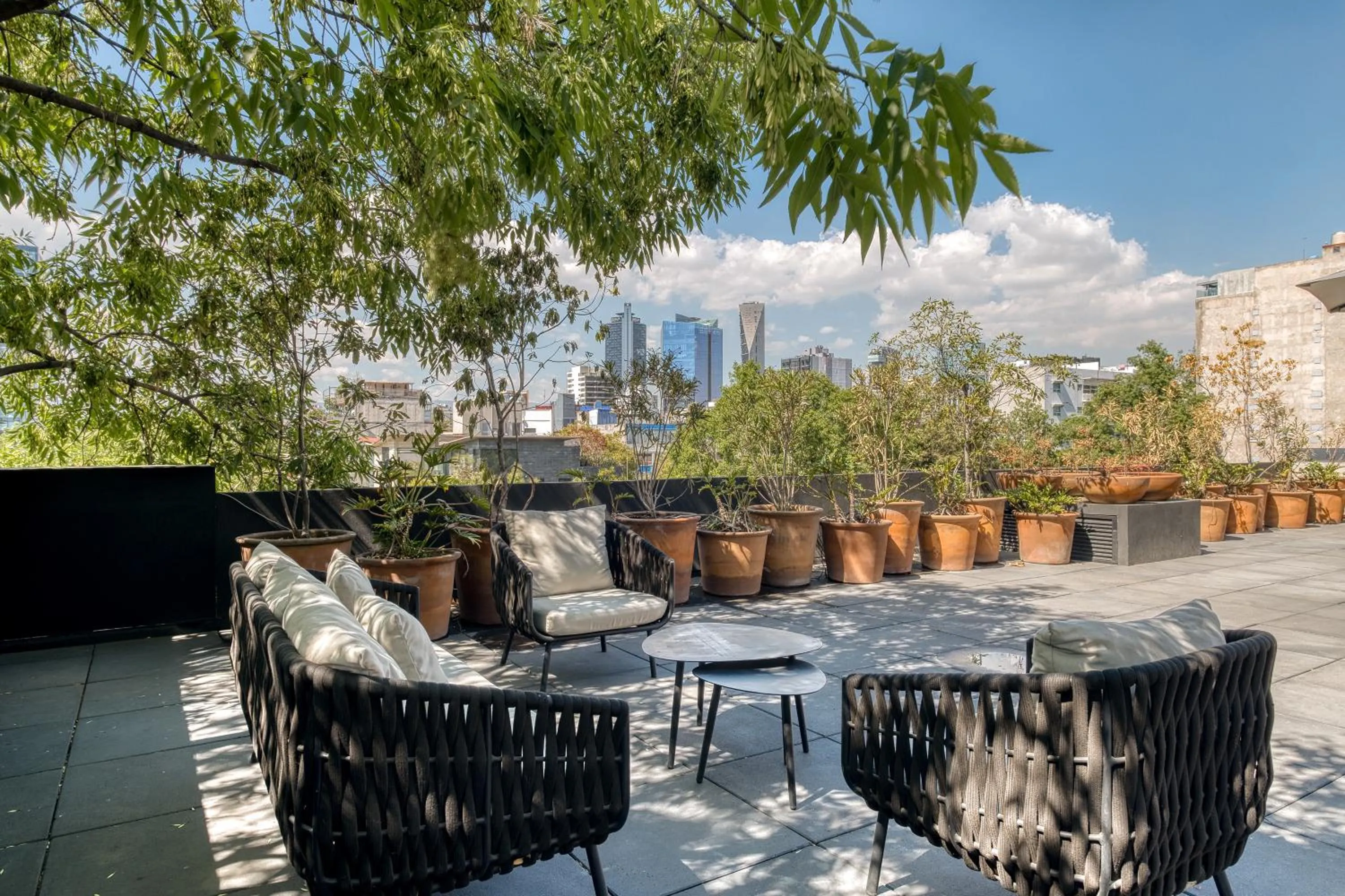 Property building in Boga Mexico City by Lumina