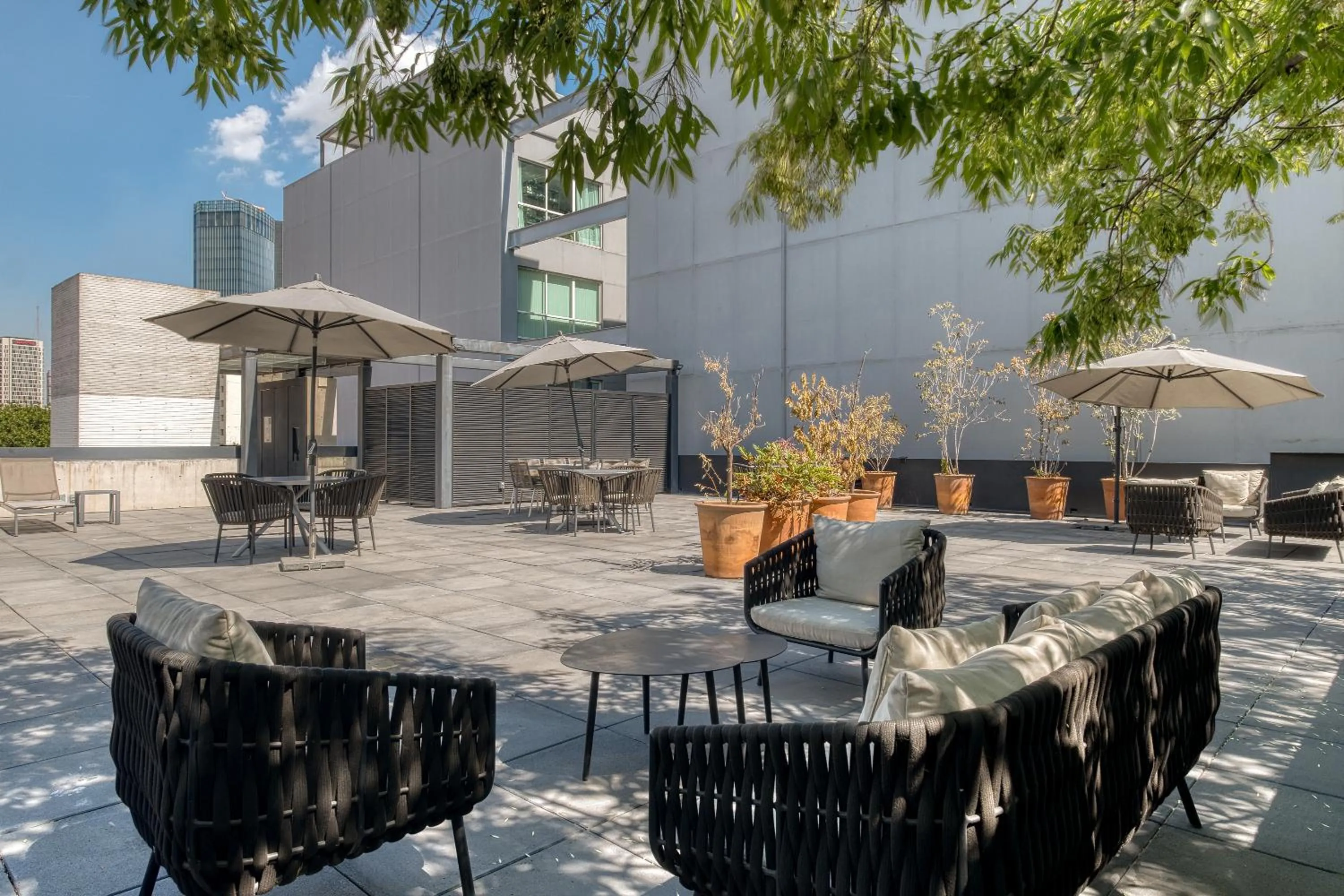 Balcony/Terrace in Boga Mexico City by Lumina