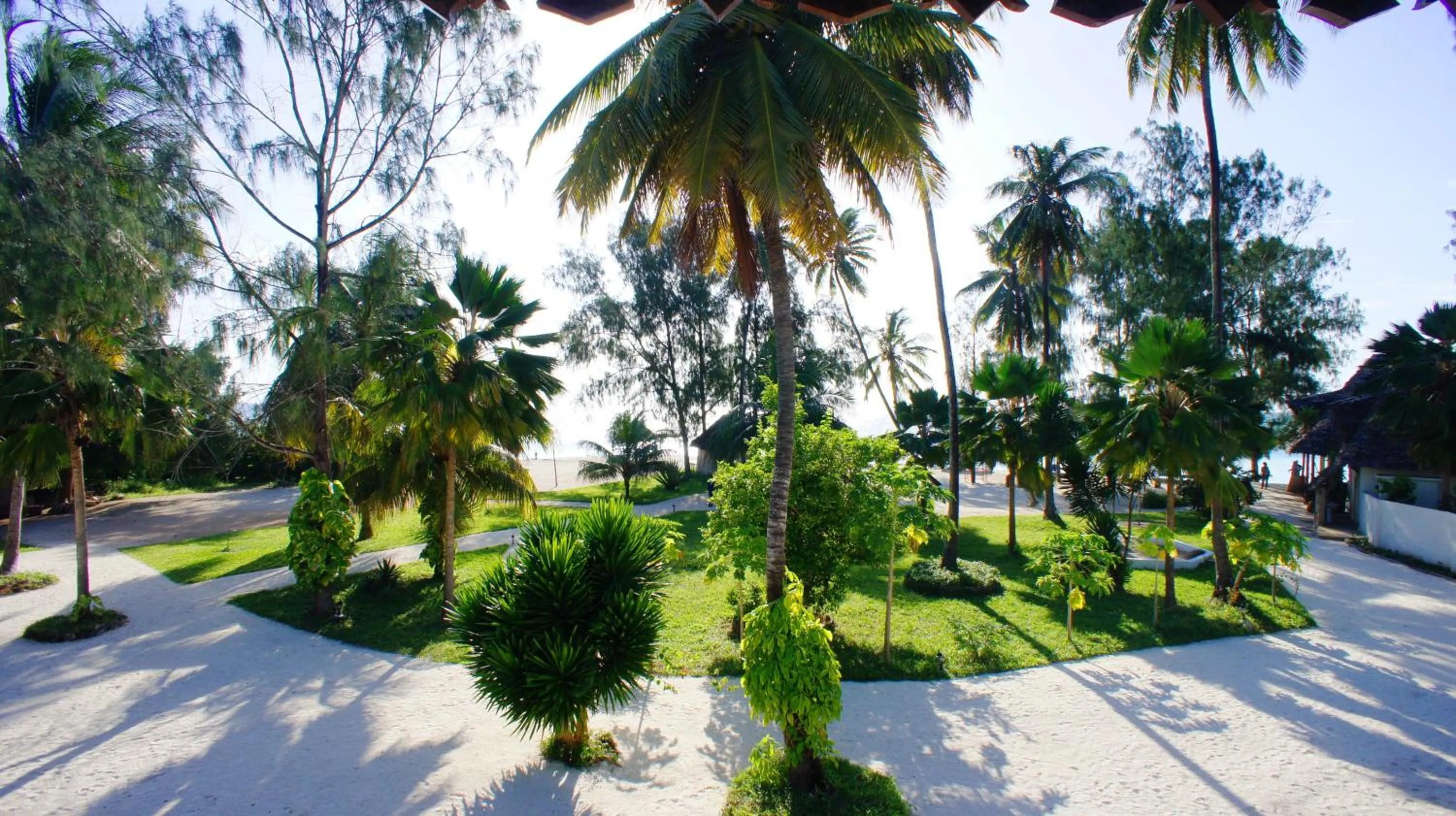 Garden in Smiles Beach Hotel