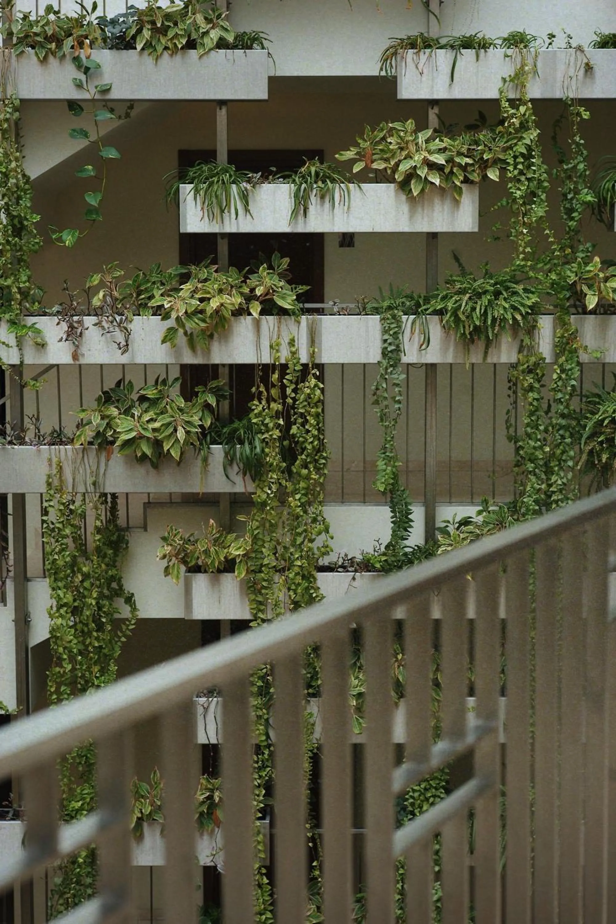 Lobby or reception in Mana Suites & Sea SPA