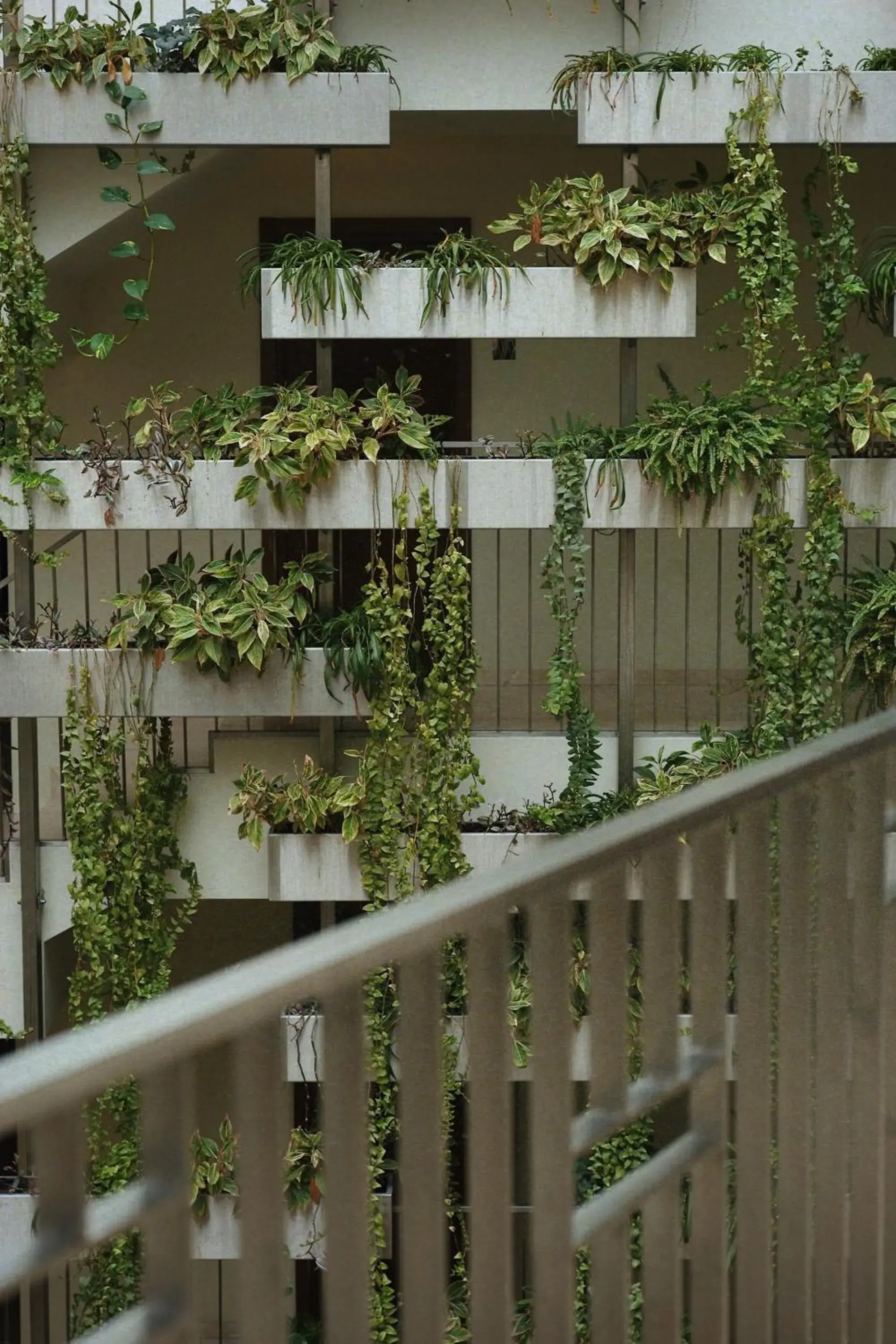 Lobby or reception in Mana Suites & Sea SPA Lobby or reception in Mana Suites & Sea SPA