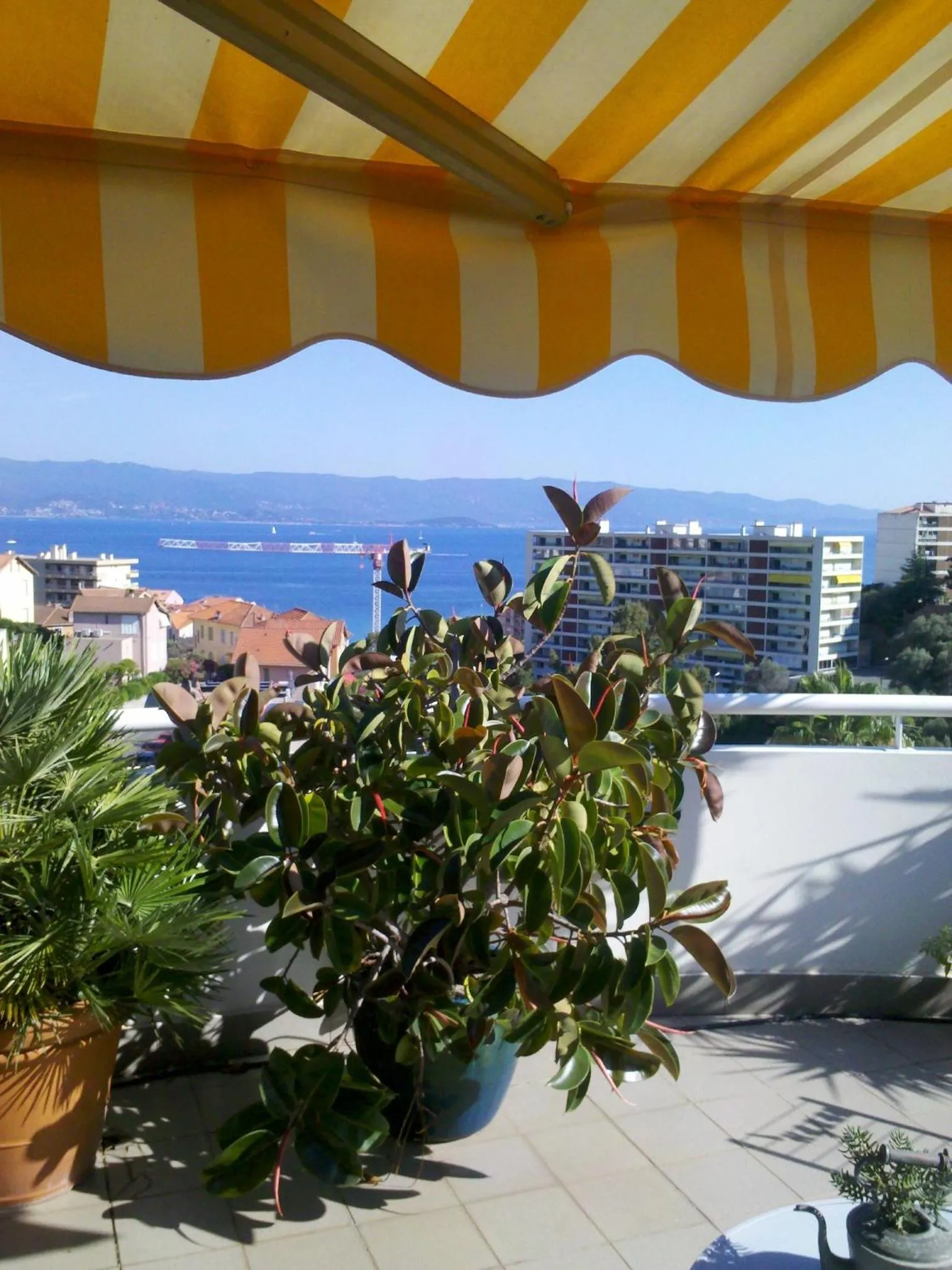 Balcony/Terrace in Chambre d'hôte Les Jardins Du Forcone