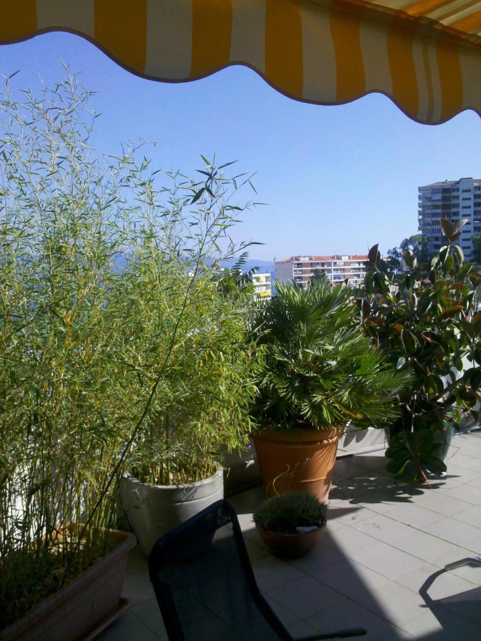 Balcony/Terrace in Chambre d'hôte Les Jardins Du Forcone