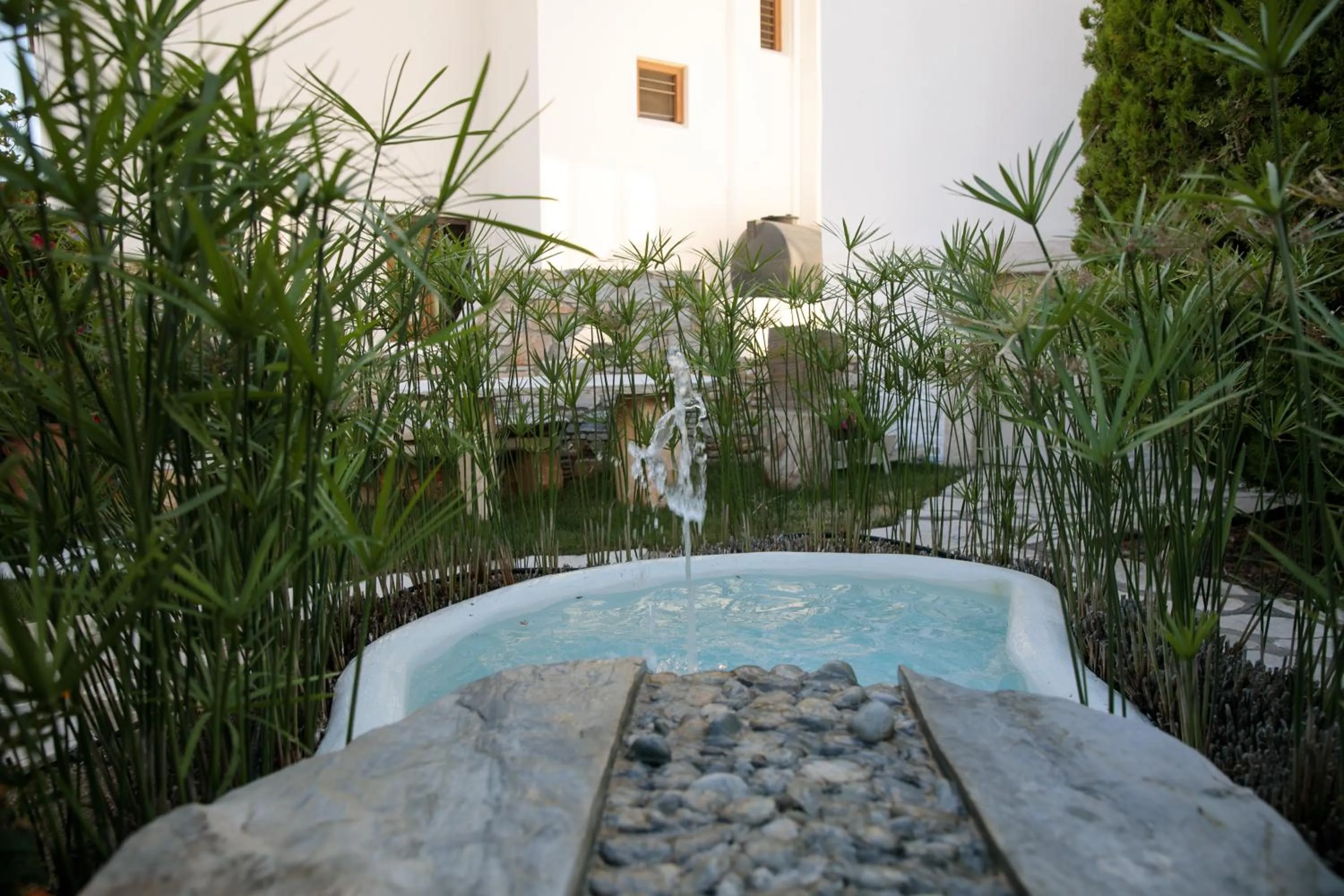 Garden in Aeolos Villas Sustainable Living