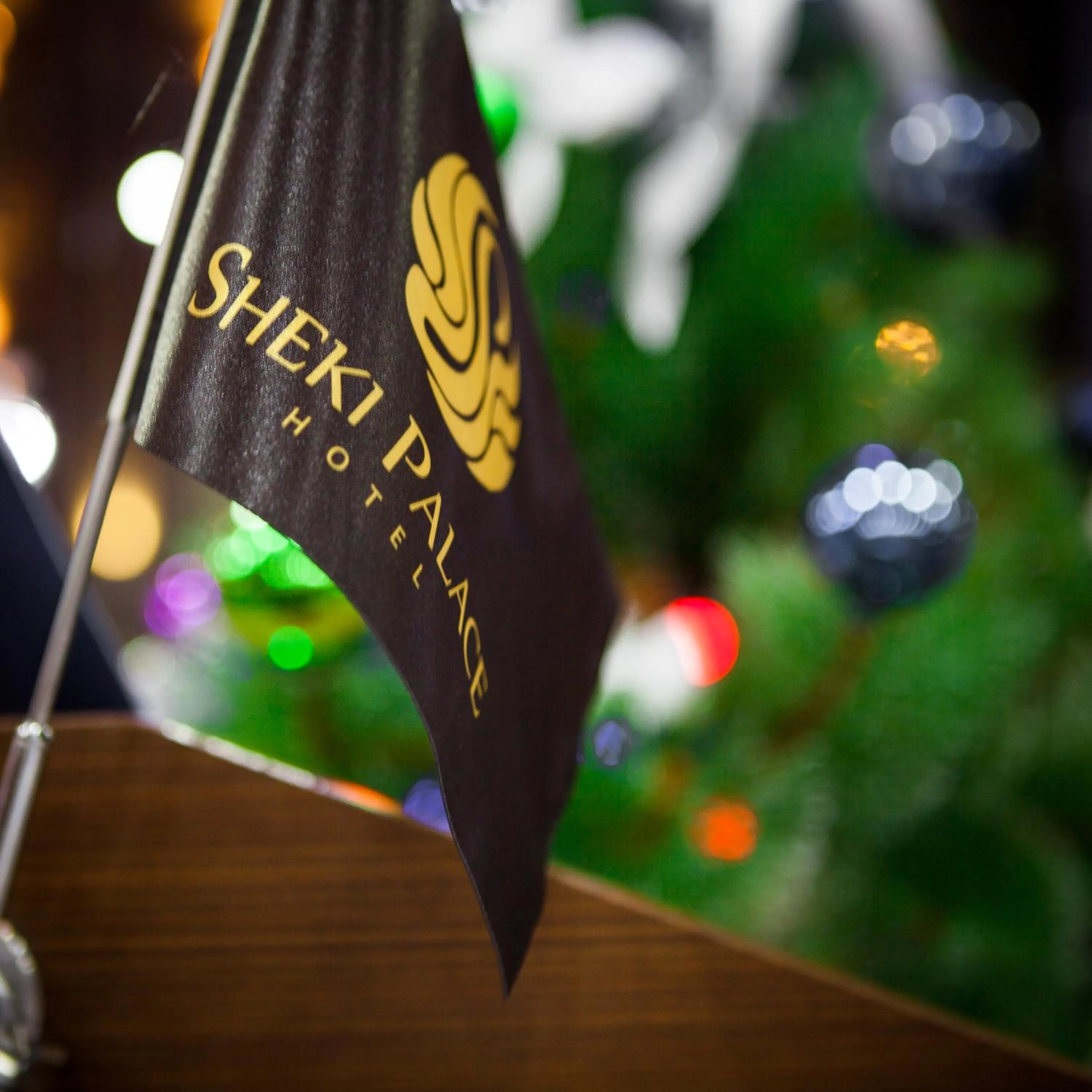 Property logo or sign in Sheki Palace Hotel