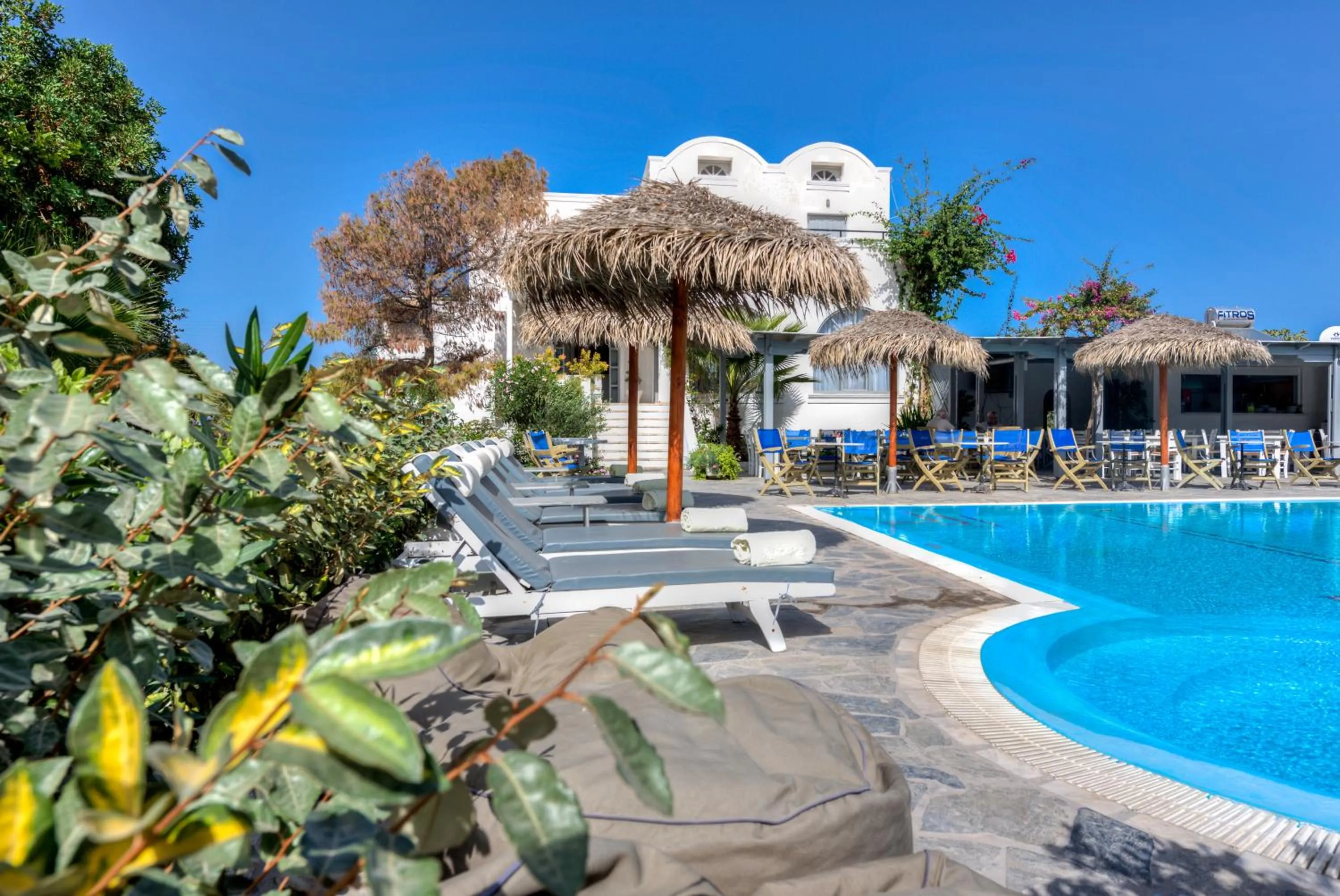 Garden view in HOTEL MOHITERO