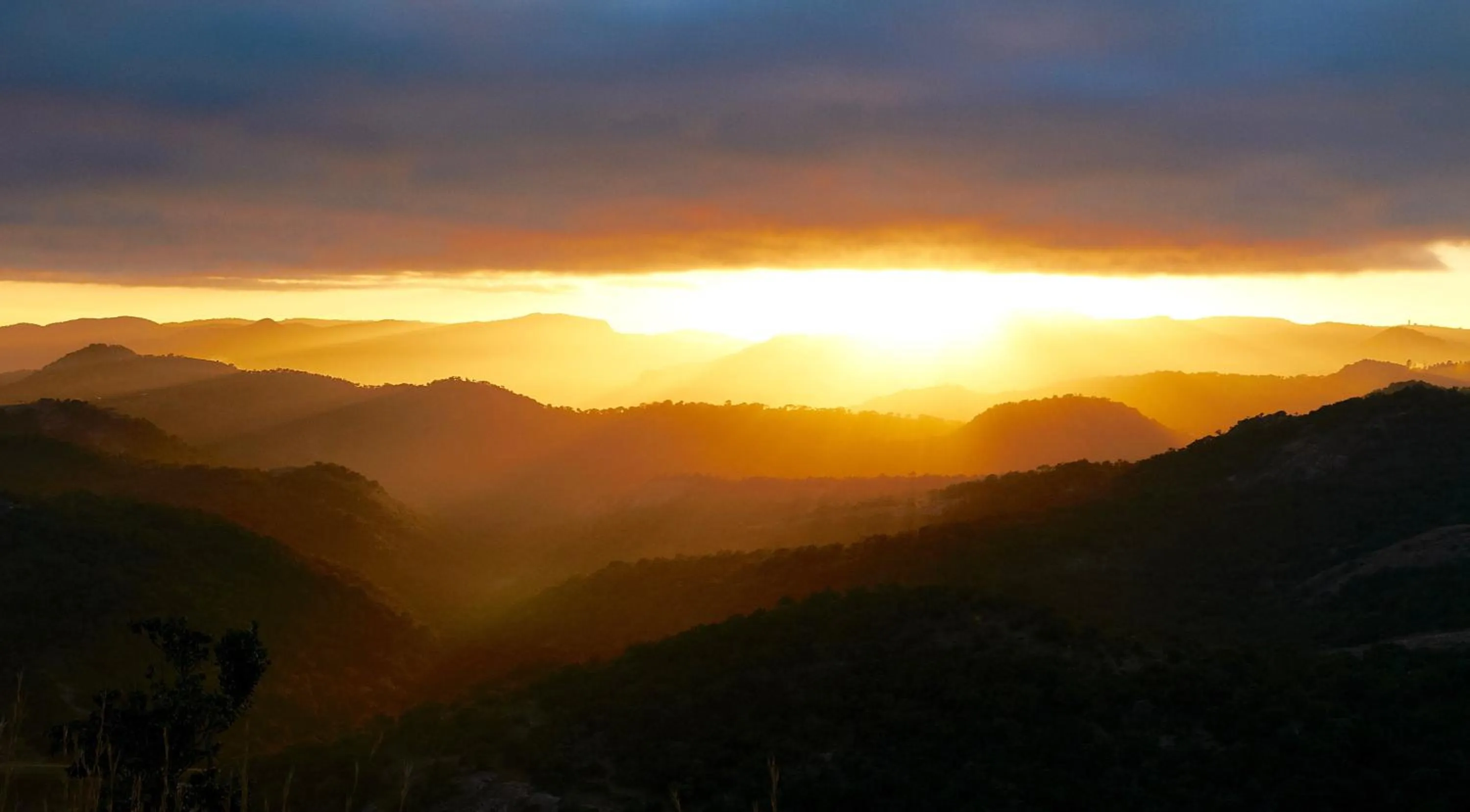 Natural landscape in Tomjachu Bush Retreat