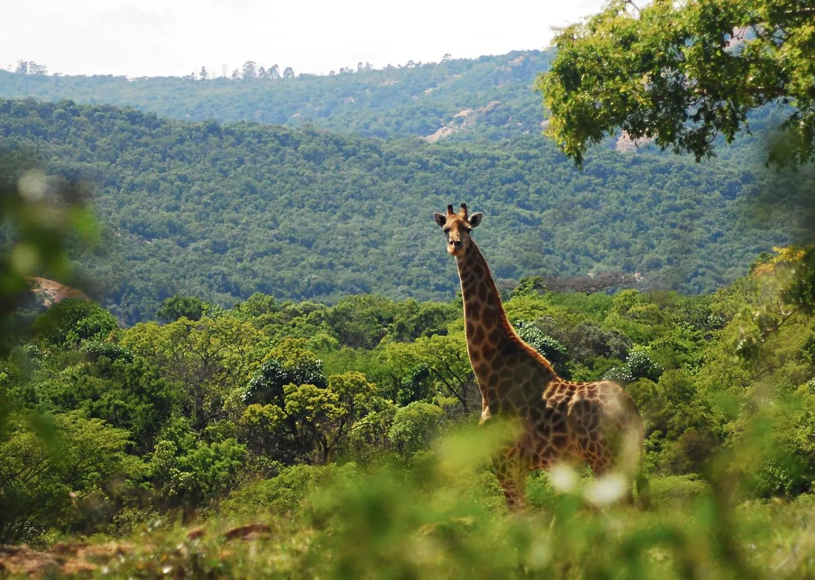 Hiking in Tomjachu Bush Retreat