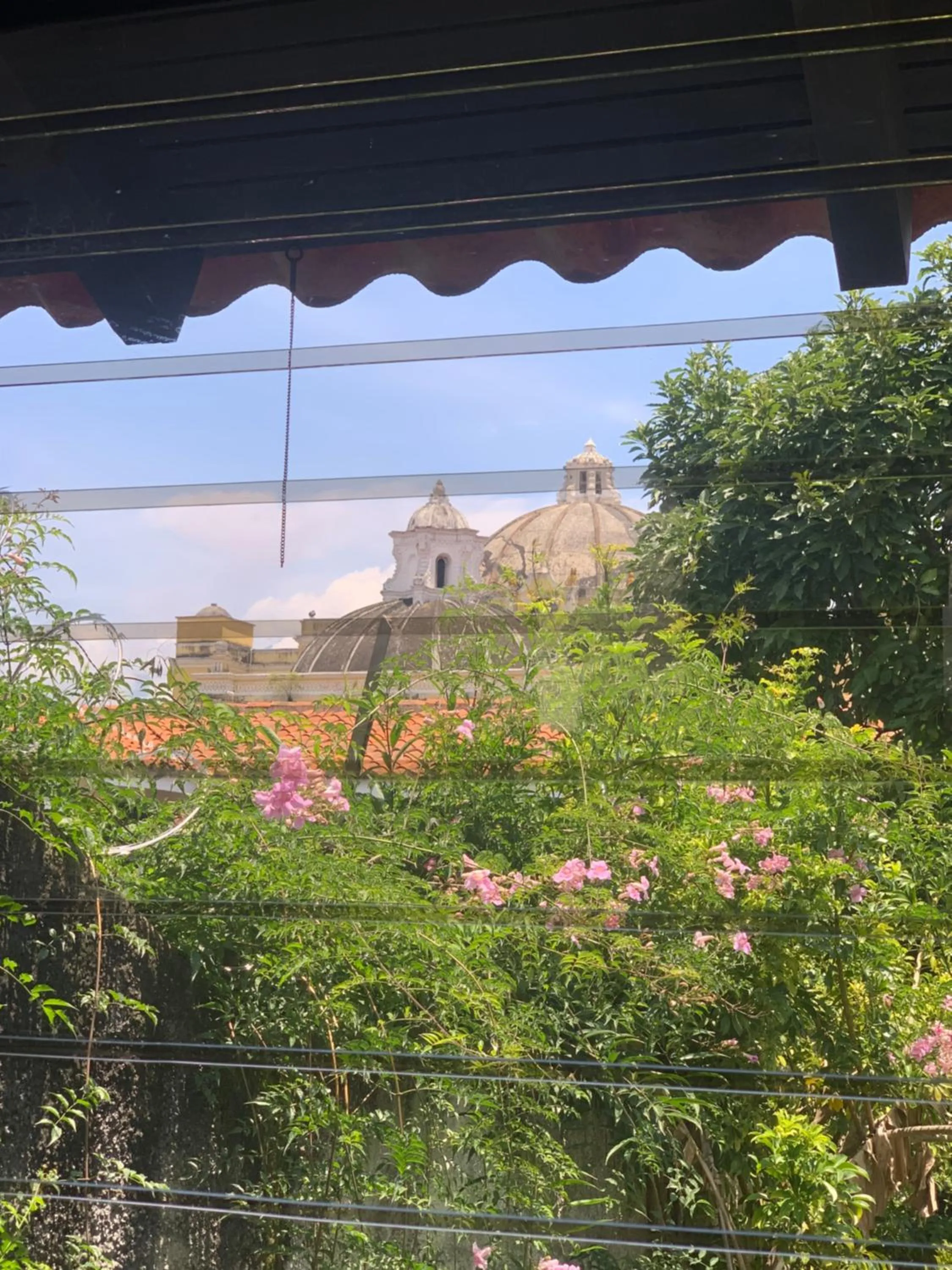 Hotel Mansion Del Rey