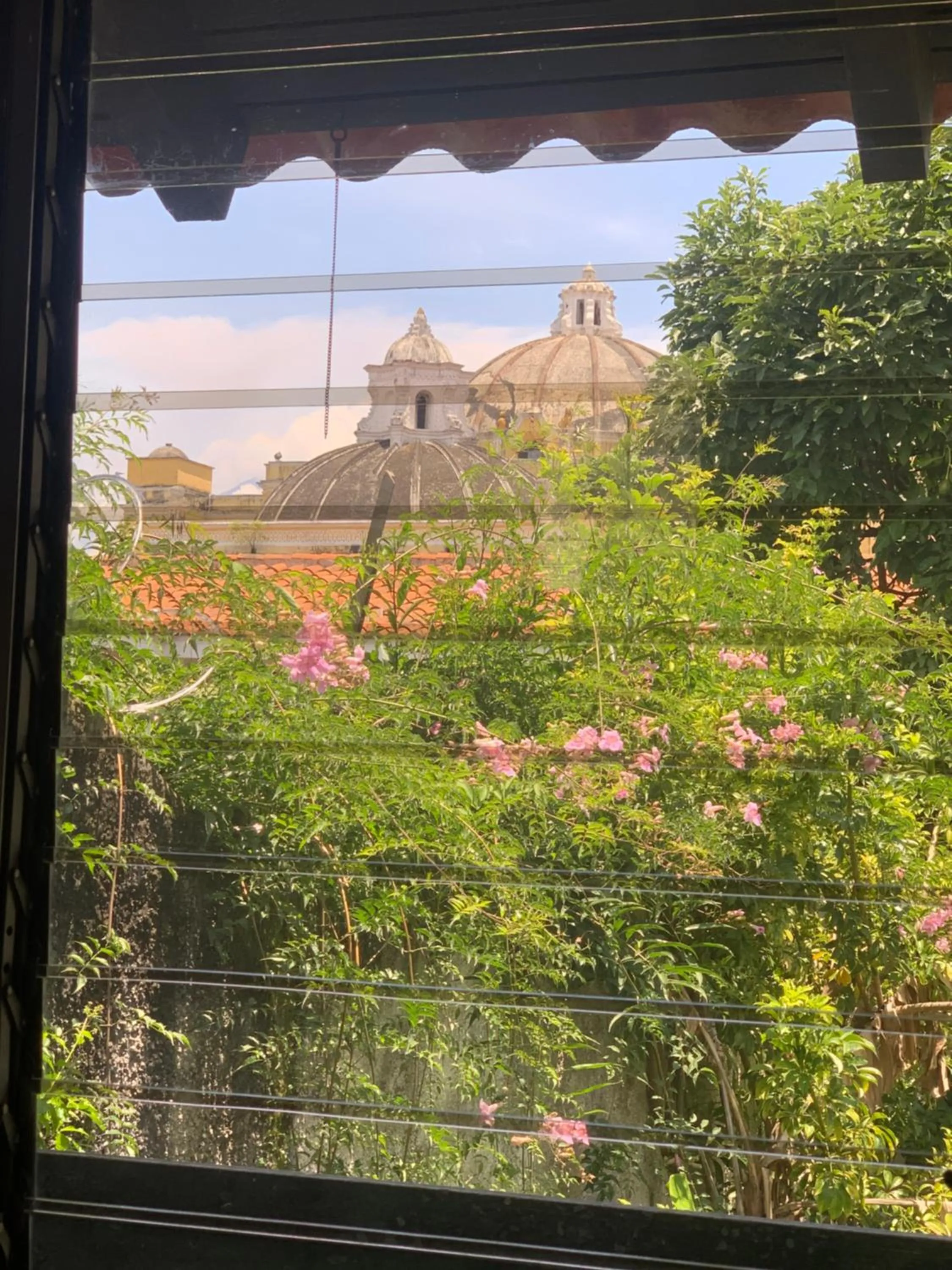 Restaurant/places to eat in Hotel Mansion Del Rey