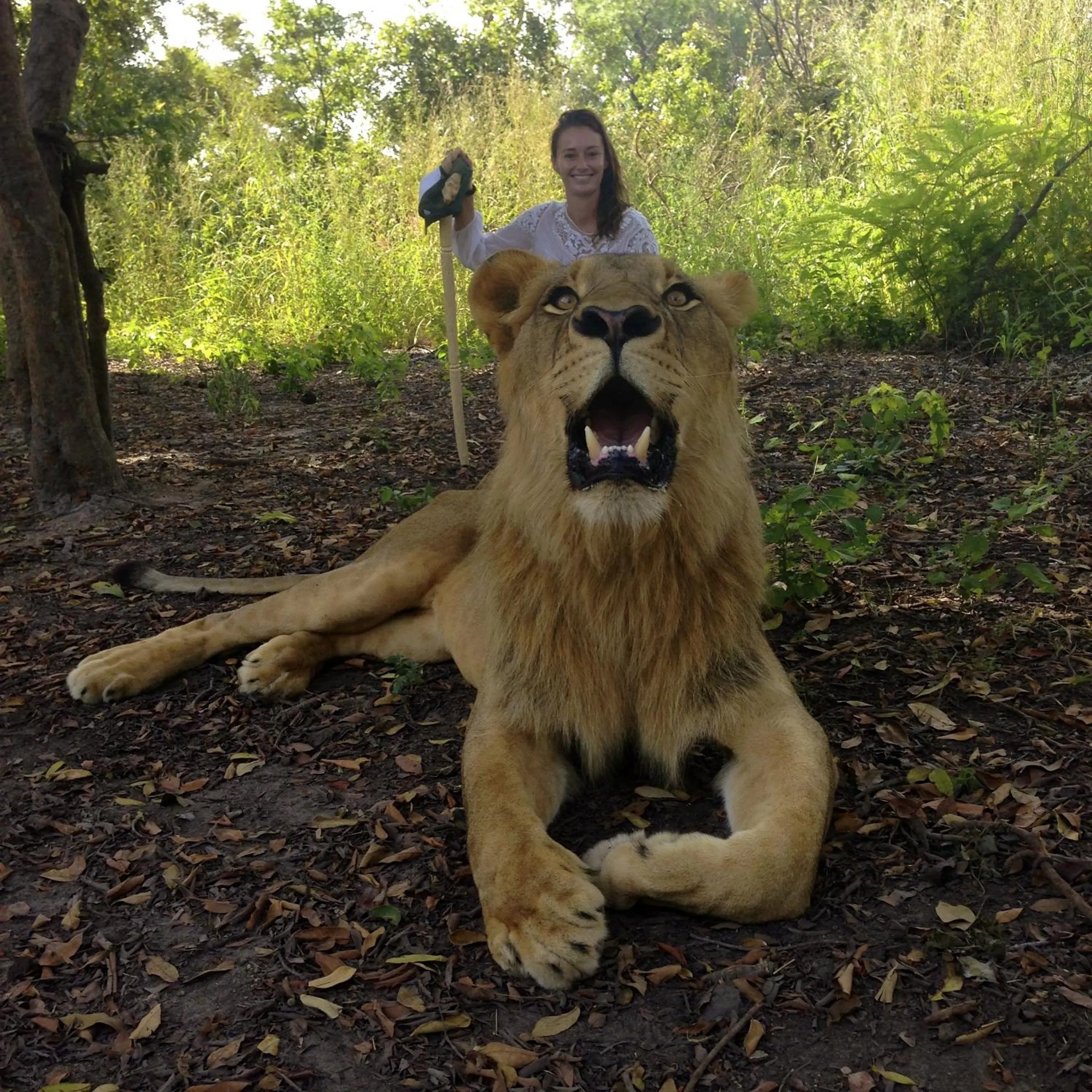 Entertainment in Les Palétuviers