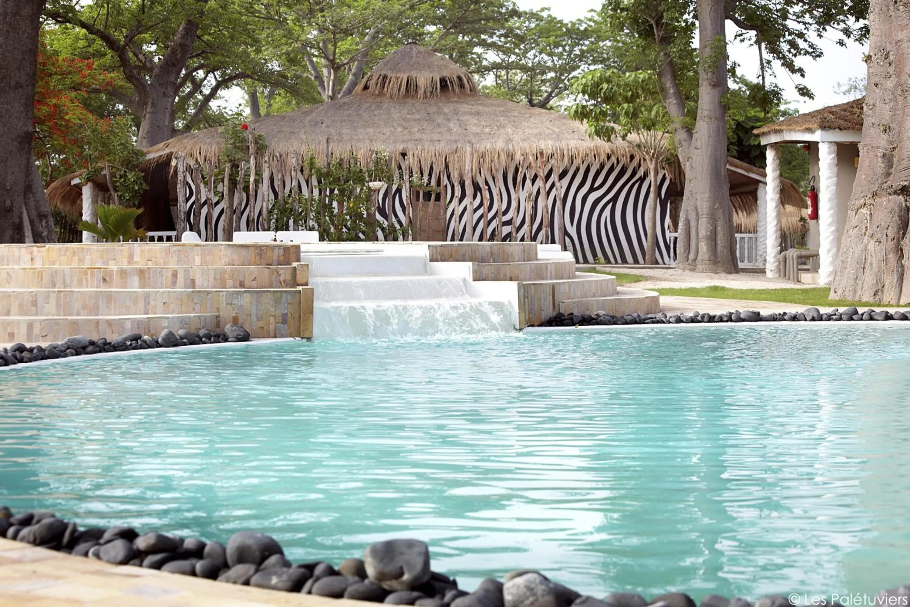 Swimming pool in Les Palétuviers