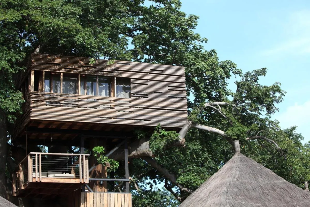 Day in Les Palétuviers