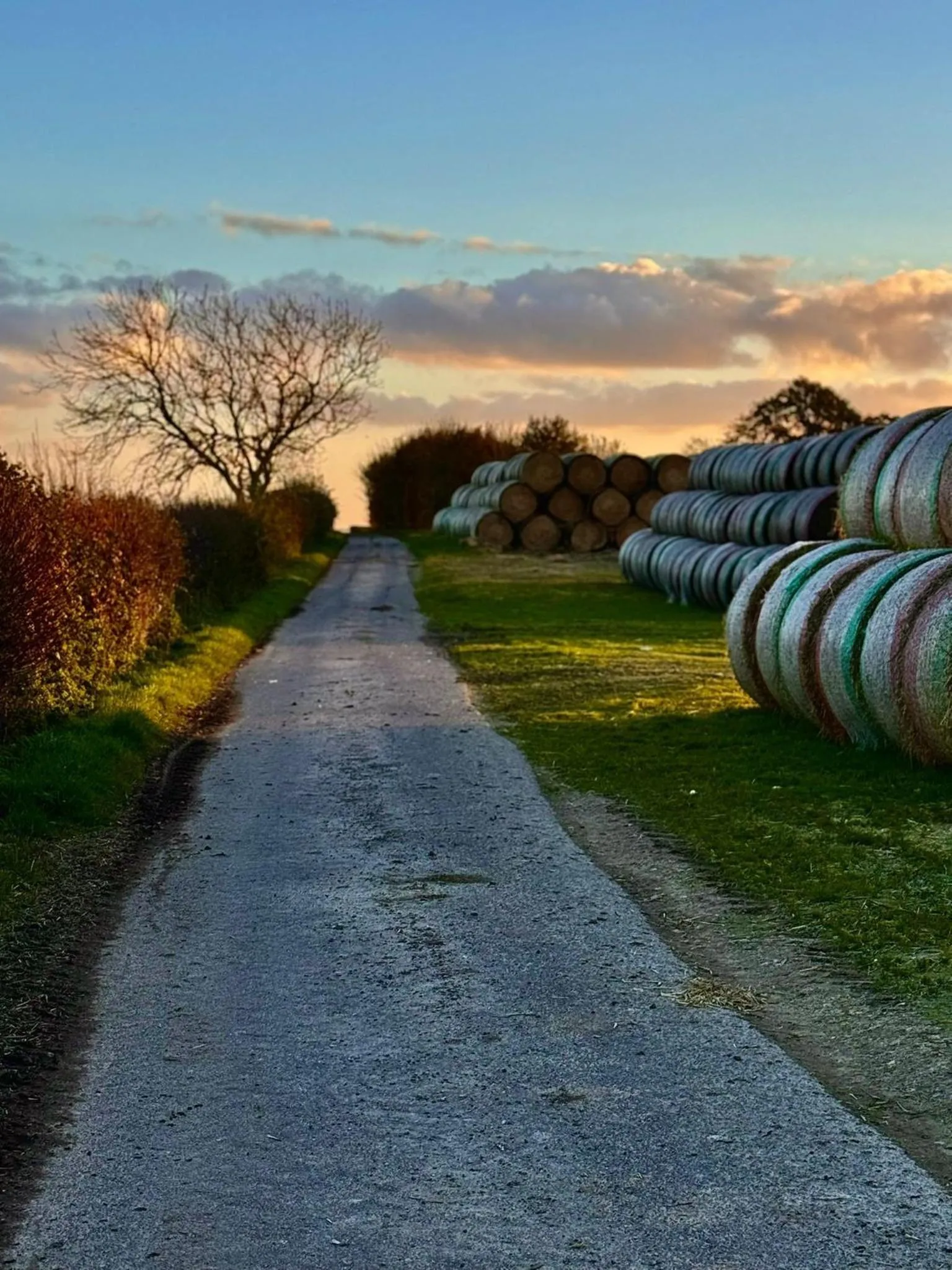 Natural landscape in Sure Studio by Best Western Brackenborough Lakes & Resort