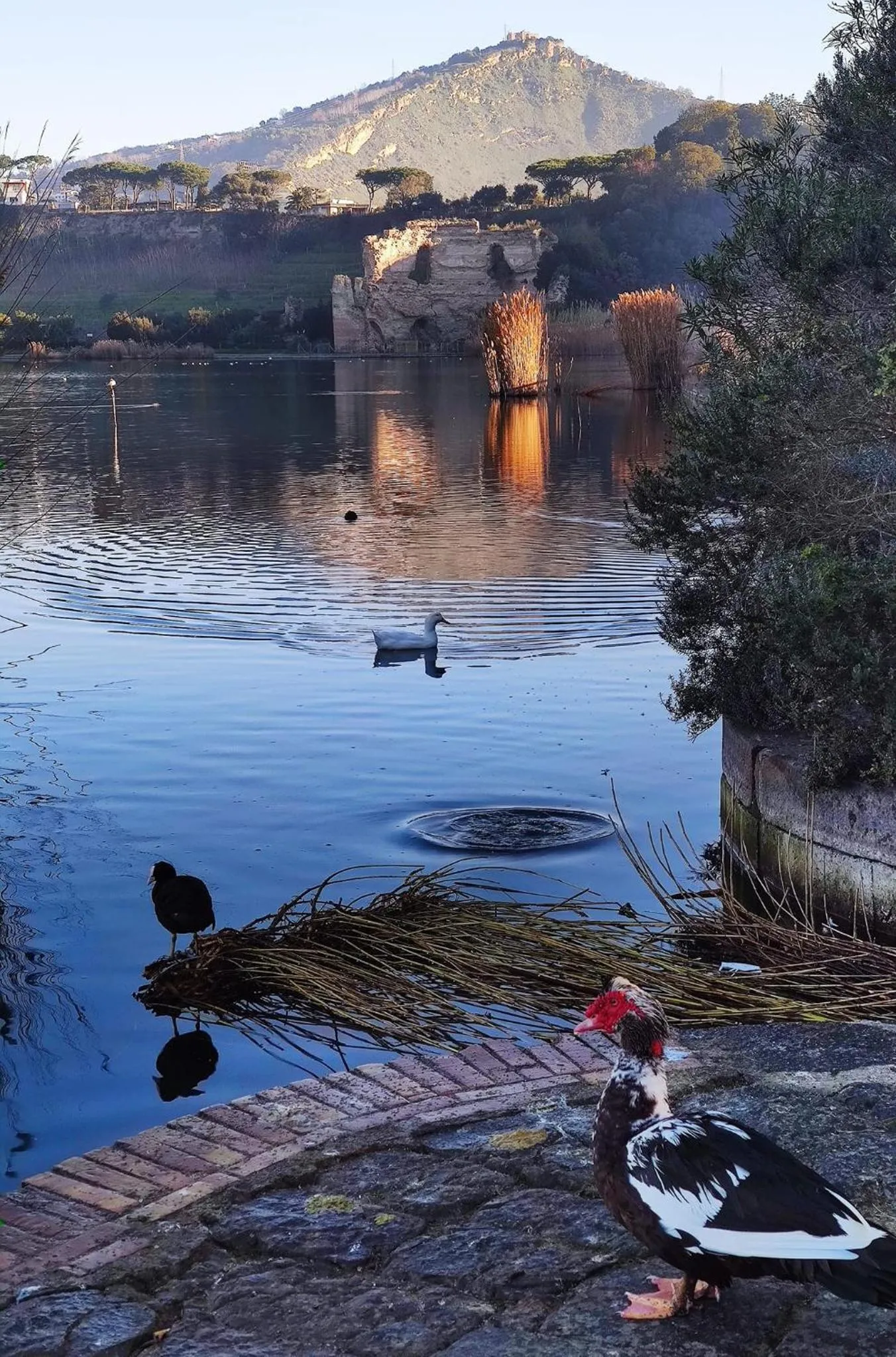 Lake view in Il Nido della Quaglia b&b - Jaba mia House LT