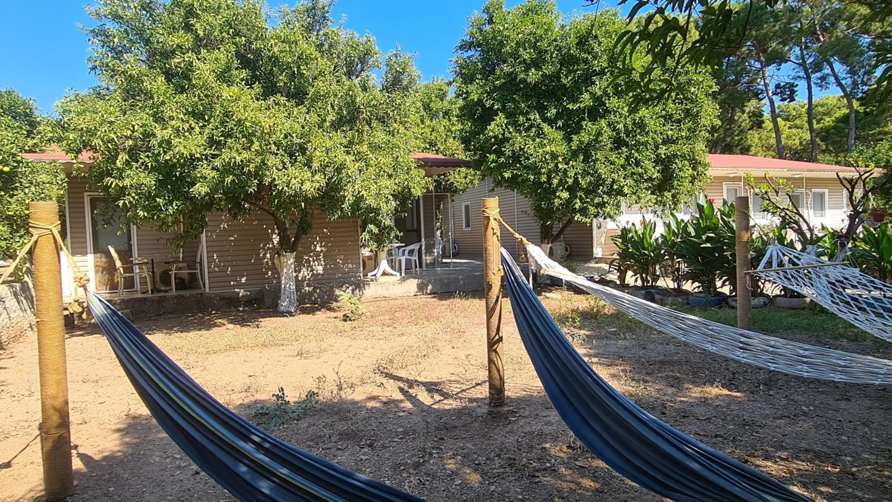 Inner courtyard view in ORANGE BEACH CAMP