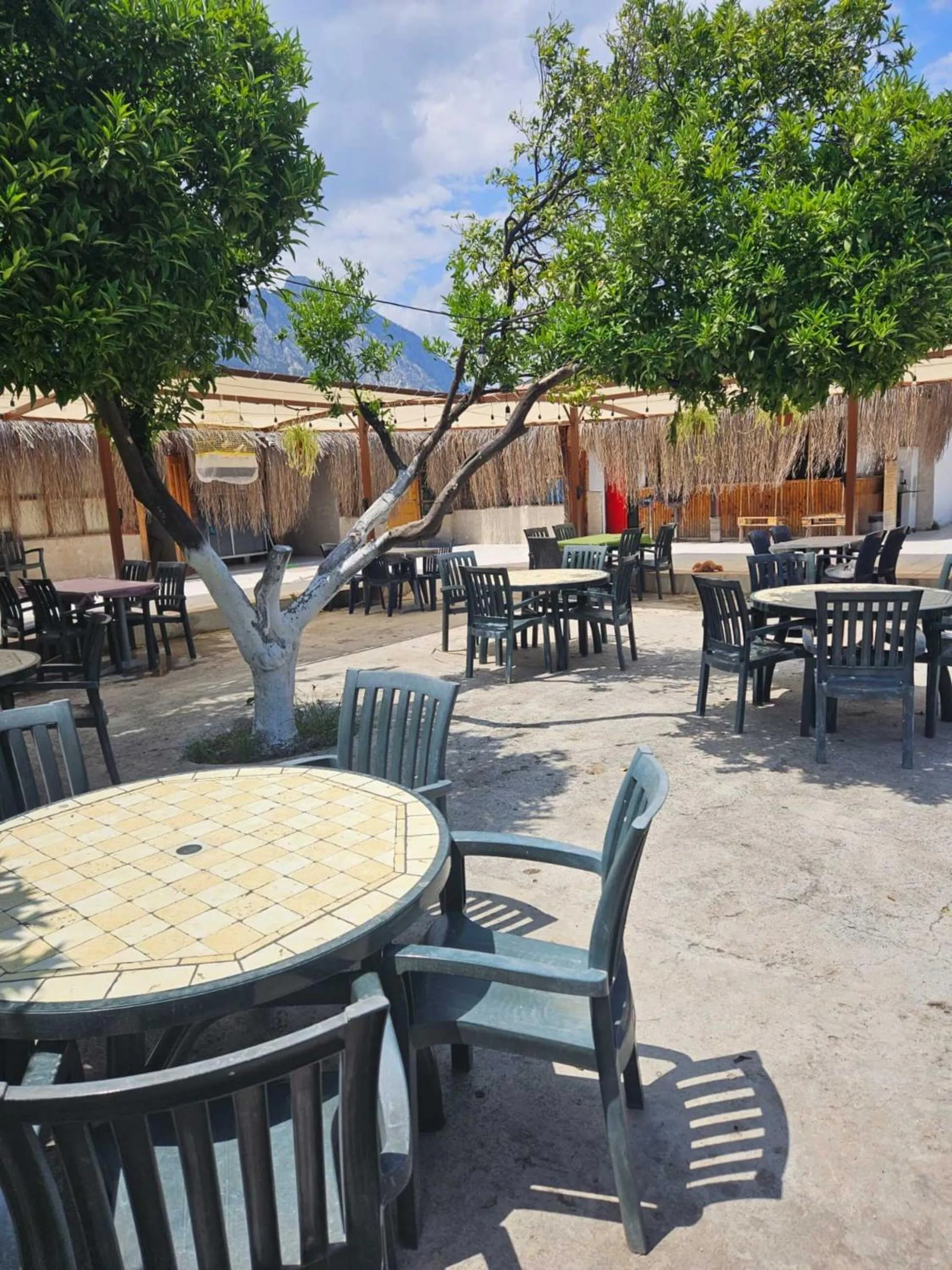 Day in ORANGE BEACH CAMP